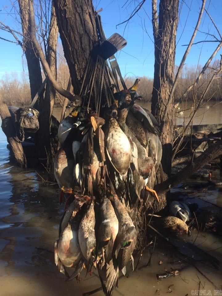 00 Eoff-Conder  Des Arc, AR