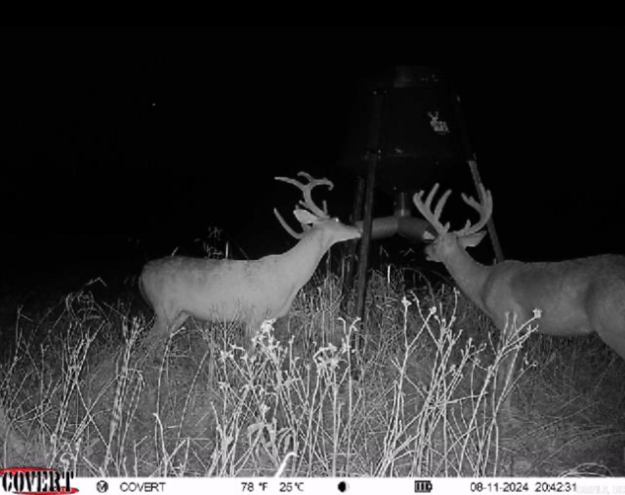 00 Eoff-Conder  Des Arc, AR