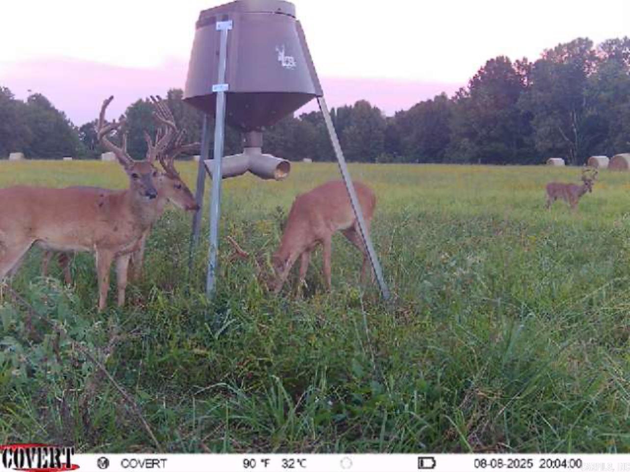 00 Eoff-Conder  Des Arc, AR