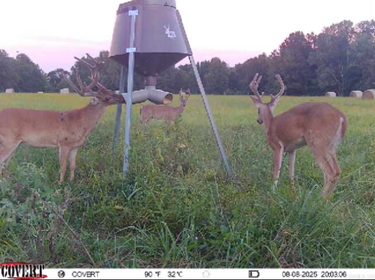 00 Eoff-Conder  Des Arc, AR