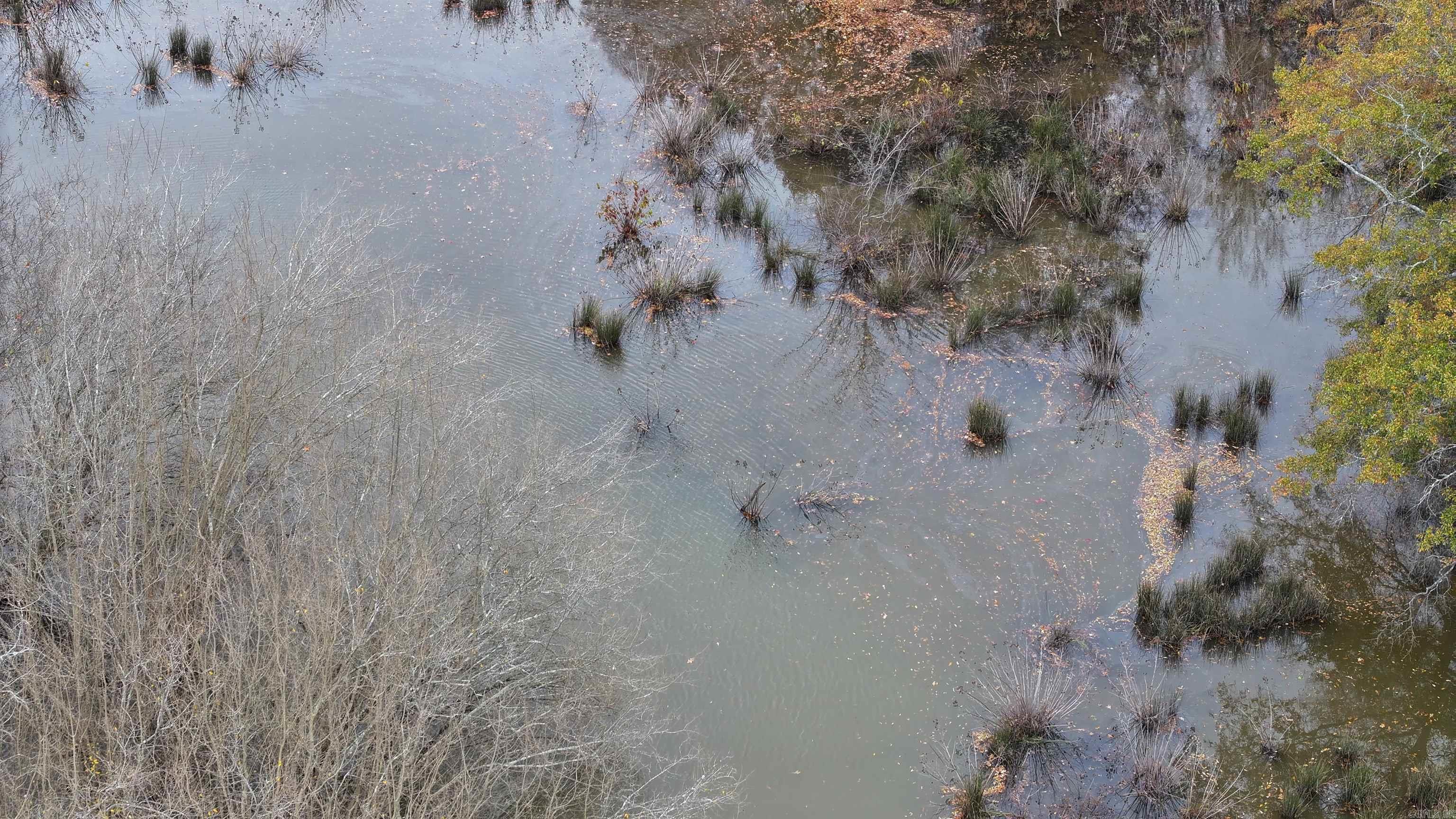 00 Eoff-Conder  Des Arc, AR