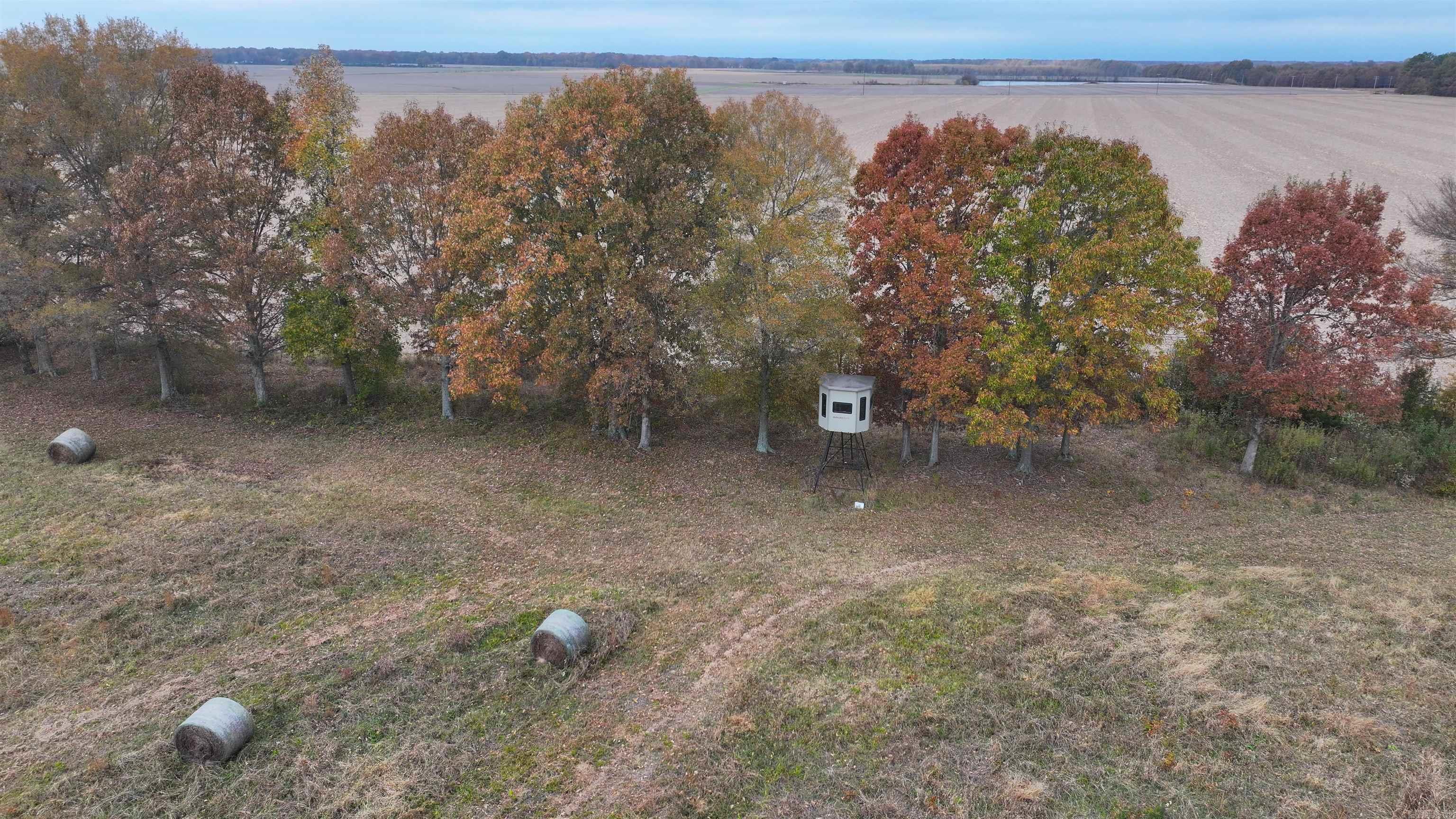 00 Eoff-Conder  Des Arc, AR