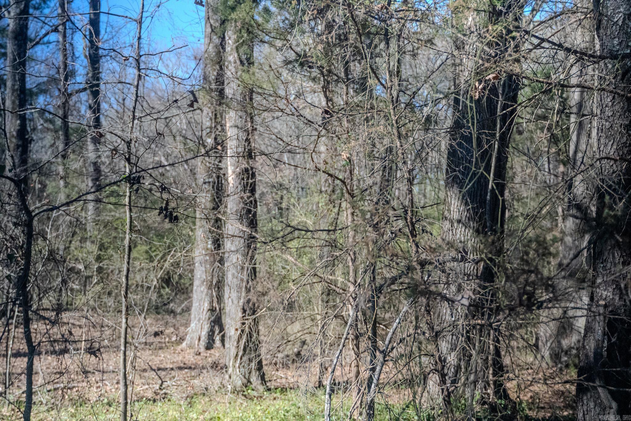 12609 N Macarthur  North Little Rock, AR