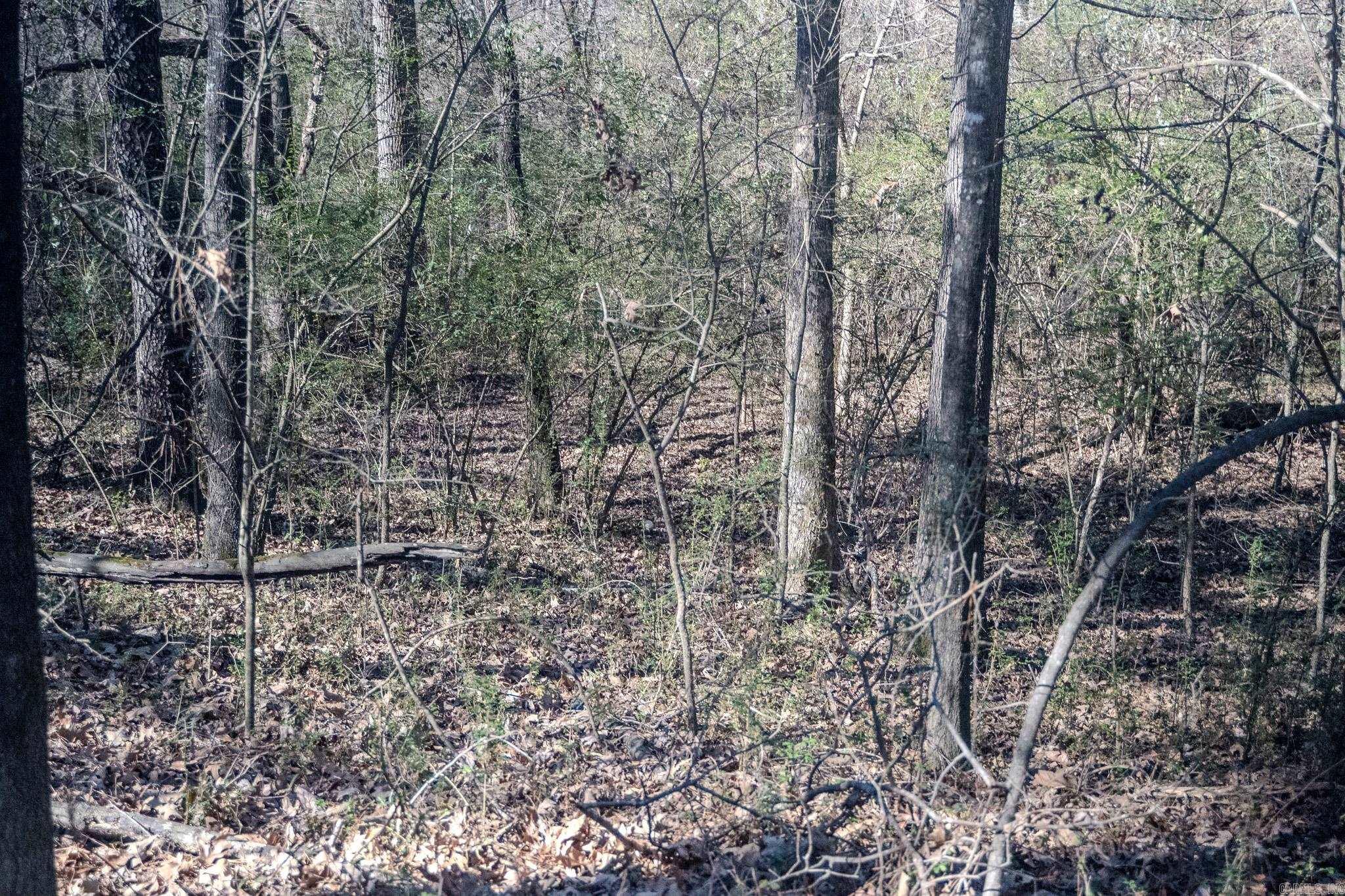 12609 N Macarthur  North Little Rock, AR