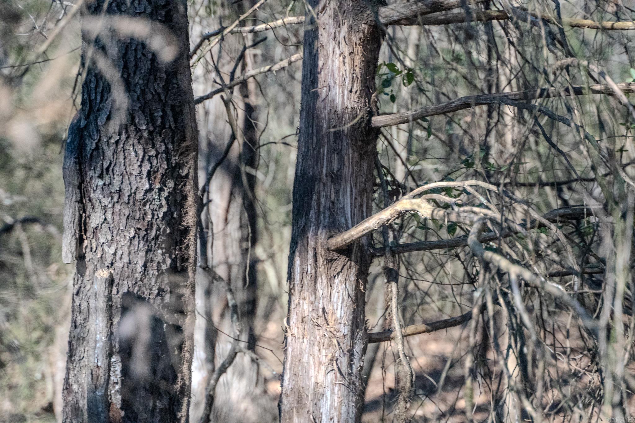 12609 N Macarthur  North Little Rock, AR