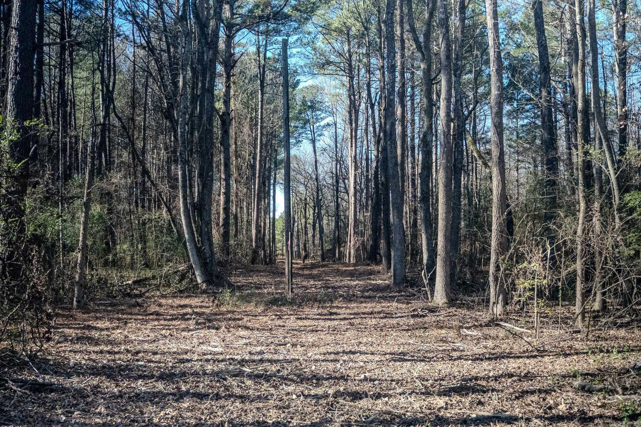 12609 N Macarthur  North Little Rock, AR