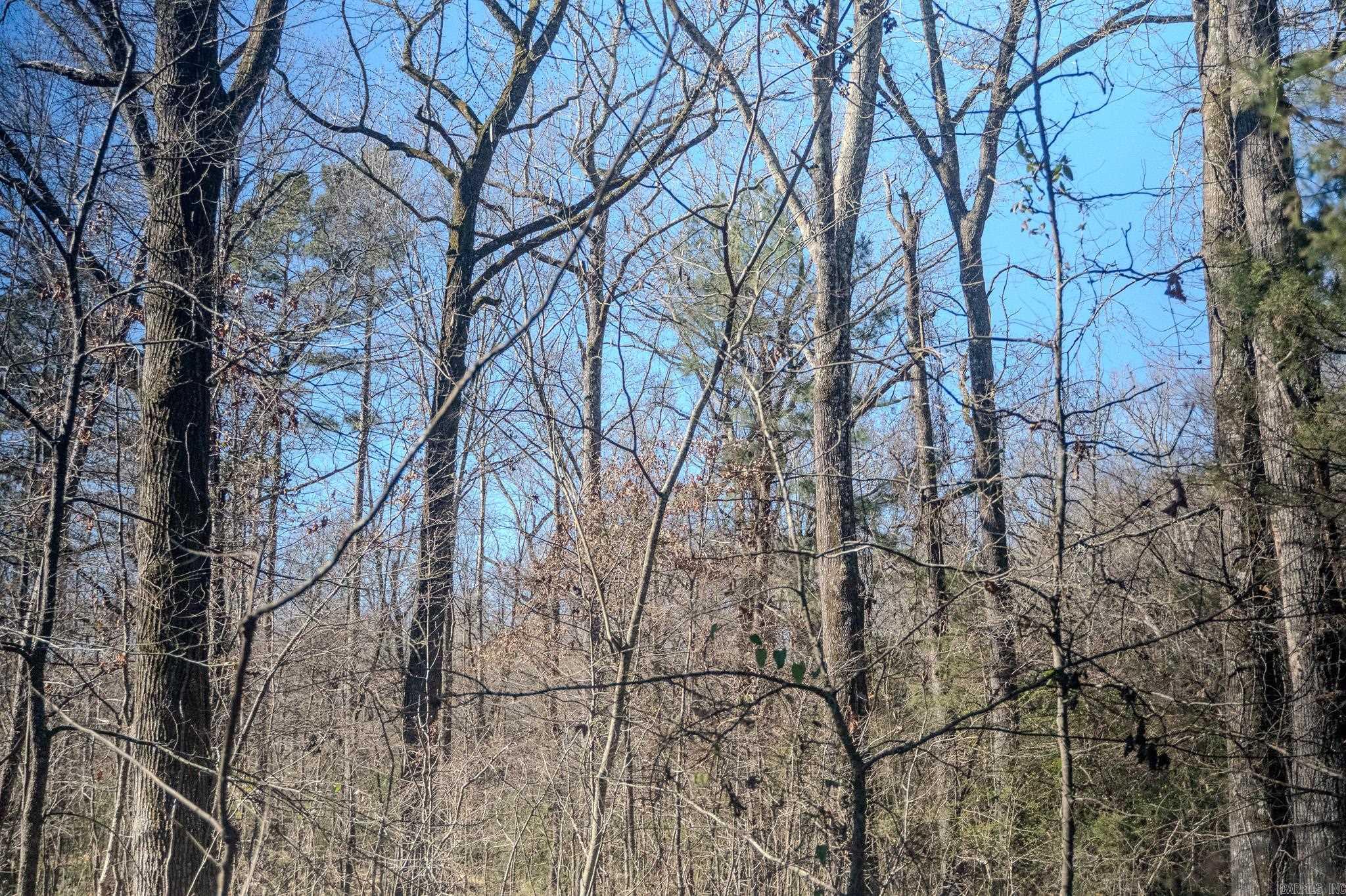 12609 N Macarthur  North Little Rock, AR