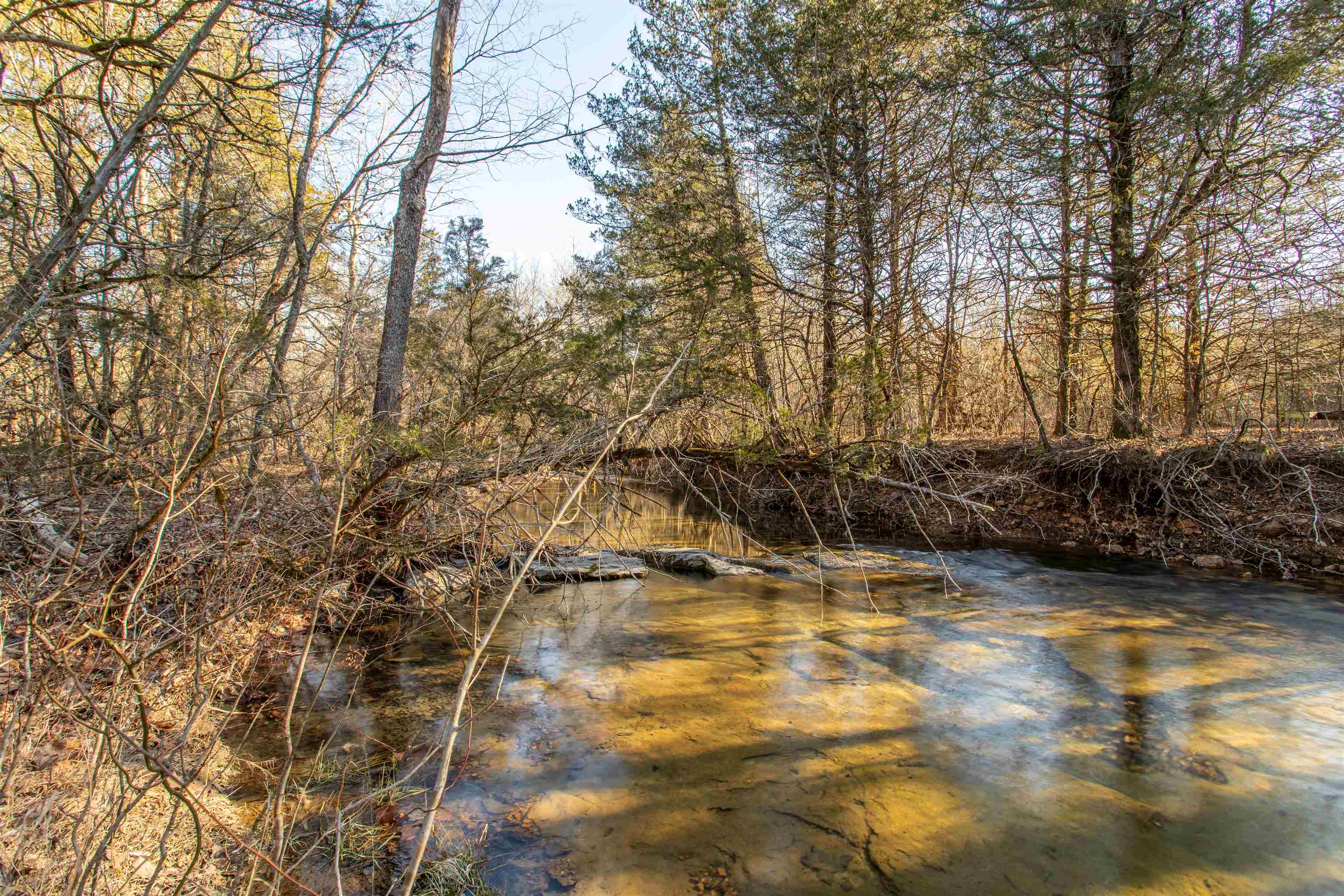 TBD Big Buck  Williford, AR