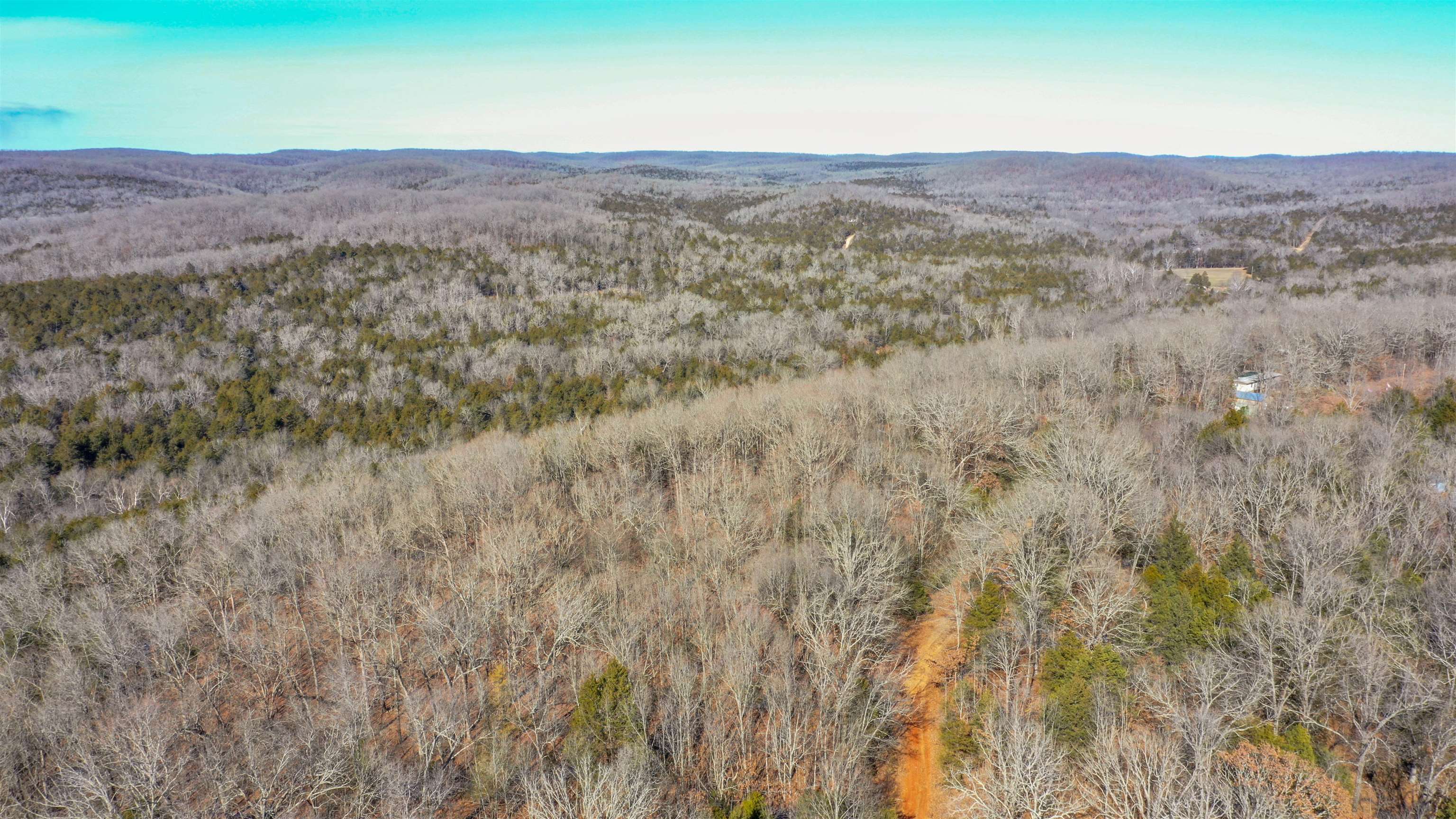 TBD Big Buck  Williford, AR