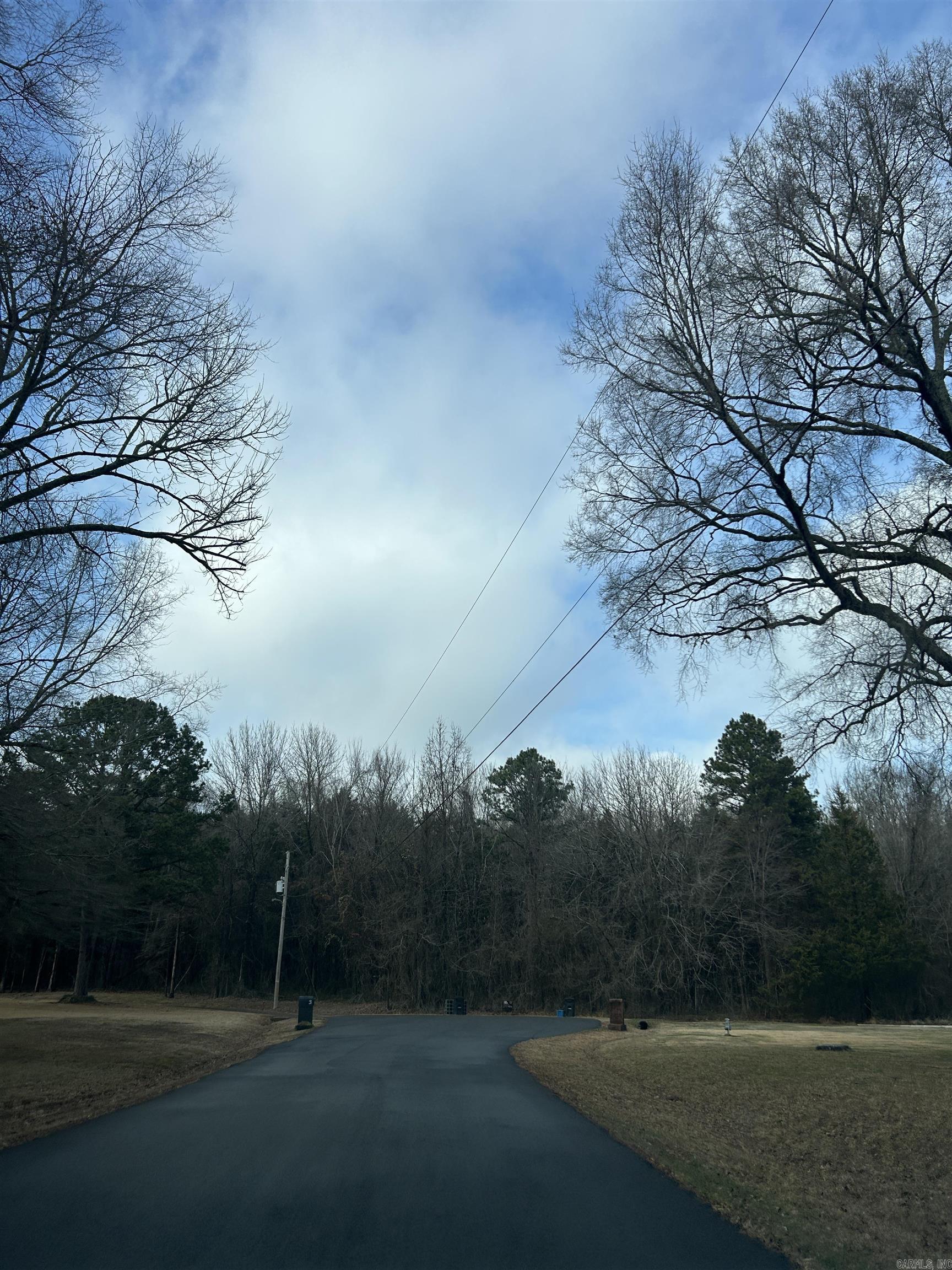 00 Blake Cove Lane  Greenbrier, AR