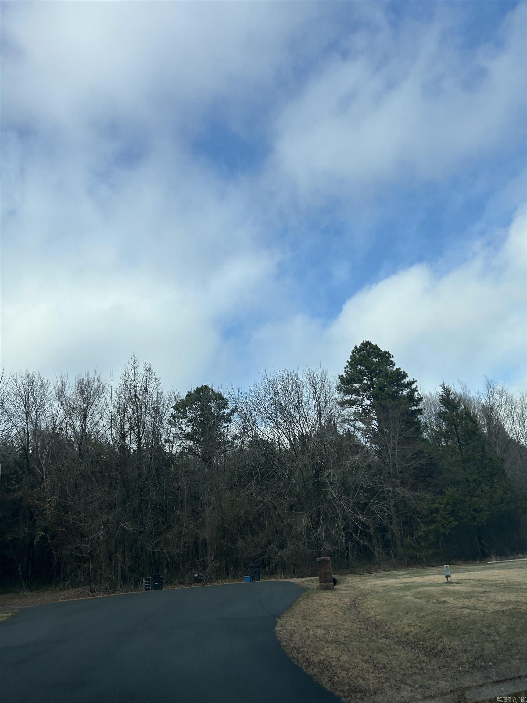 00 Blake Cove Lane  Greenbrier, AR