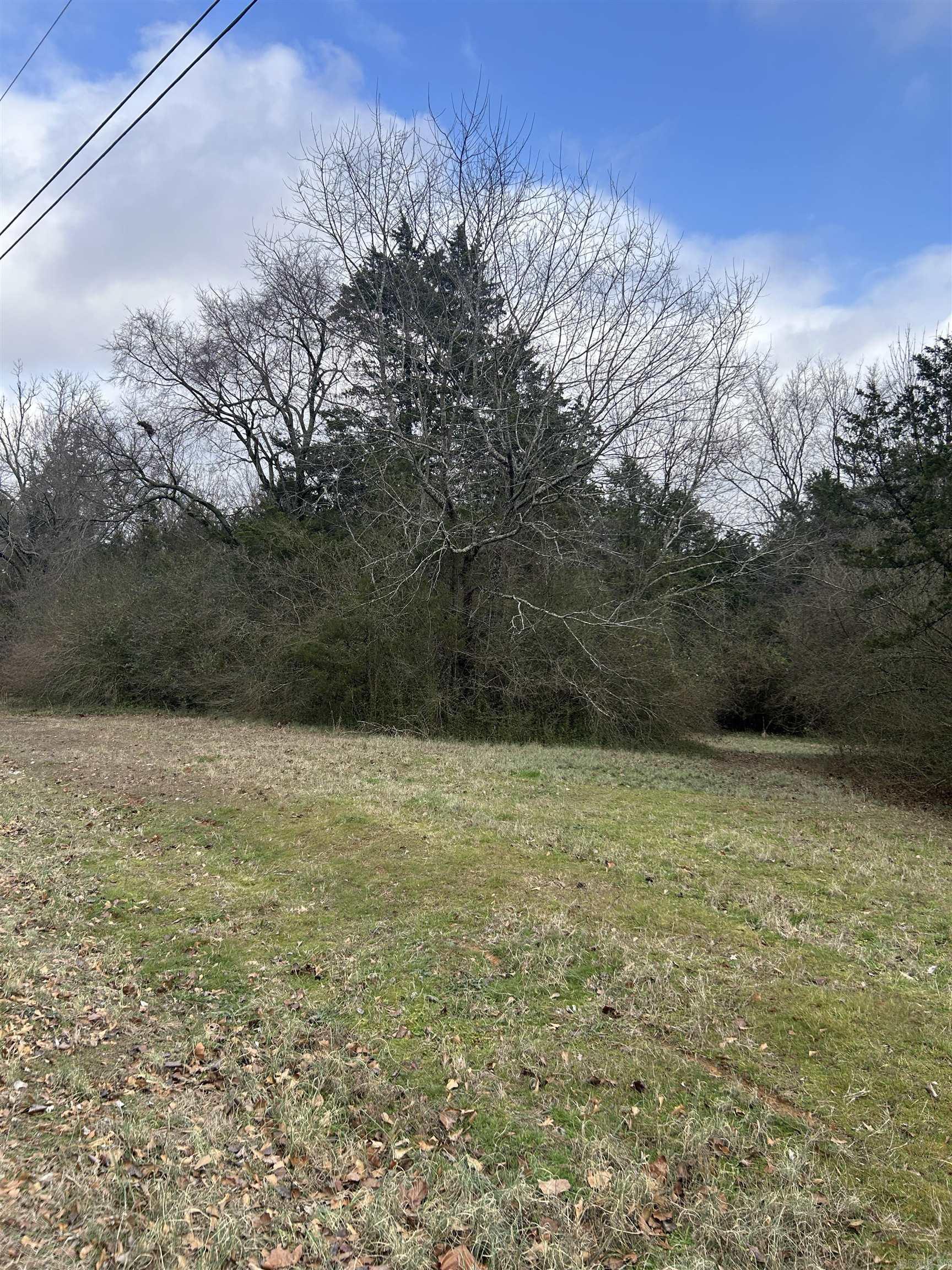 00 Noble Drive  Greenbrier, AR