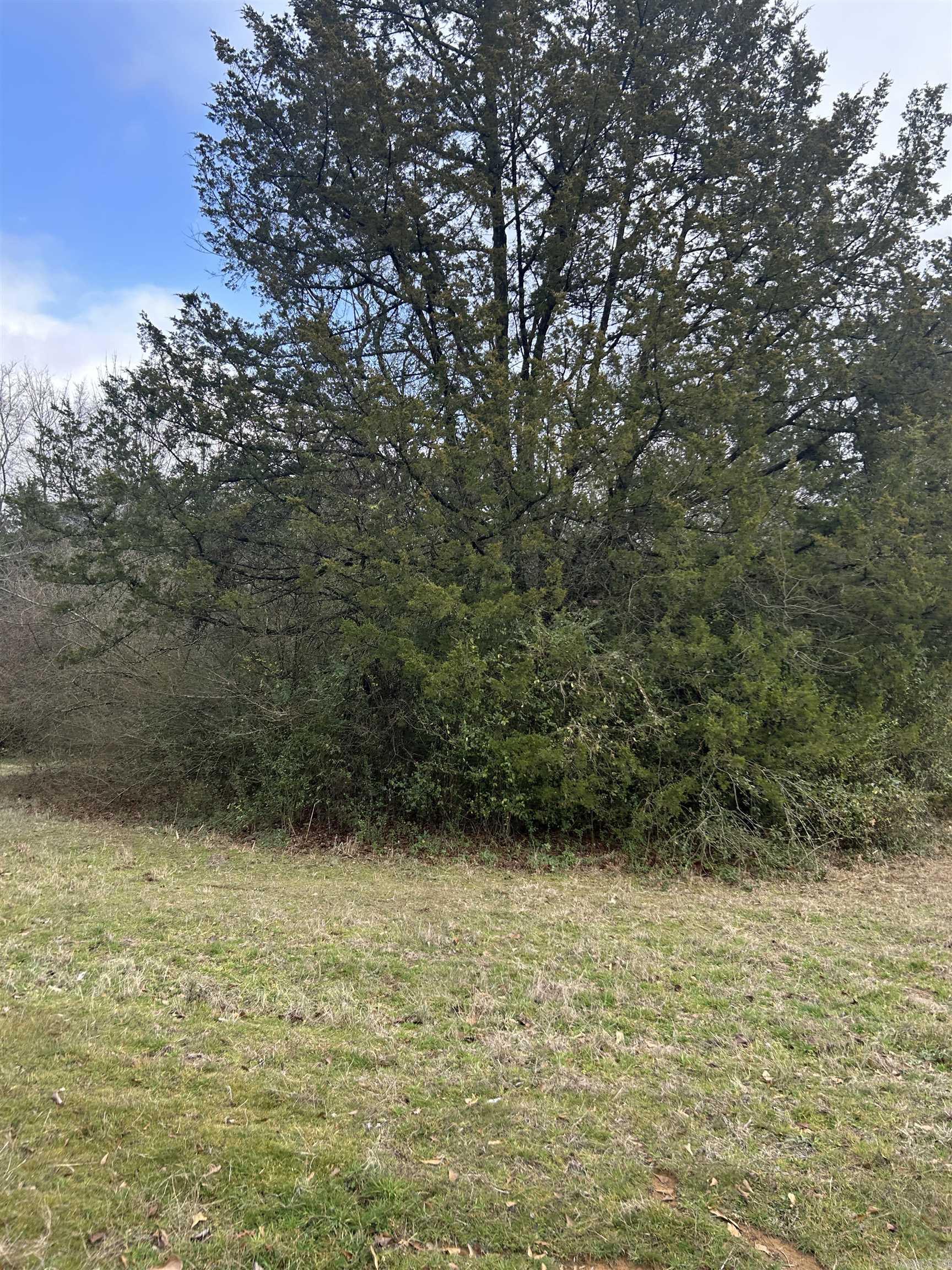 00 Noble Drive  Greenbrier, AR