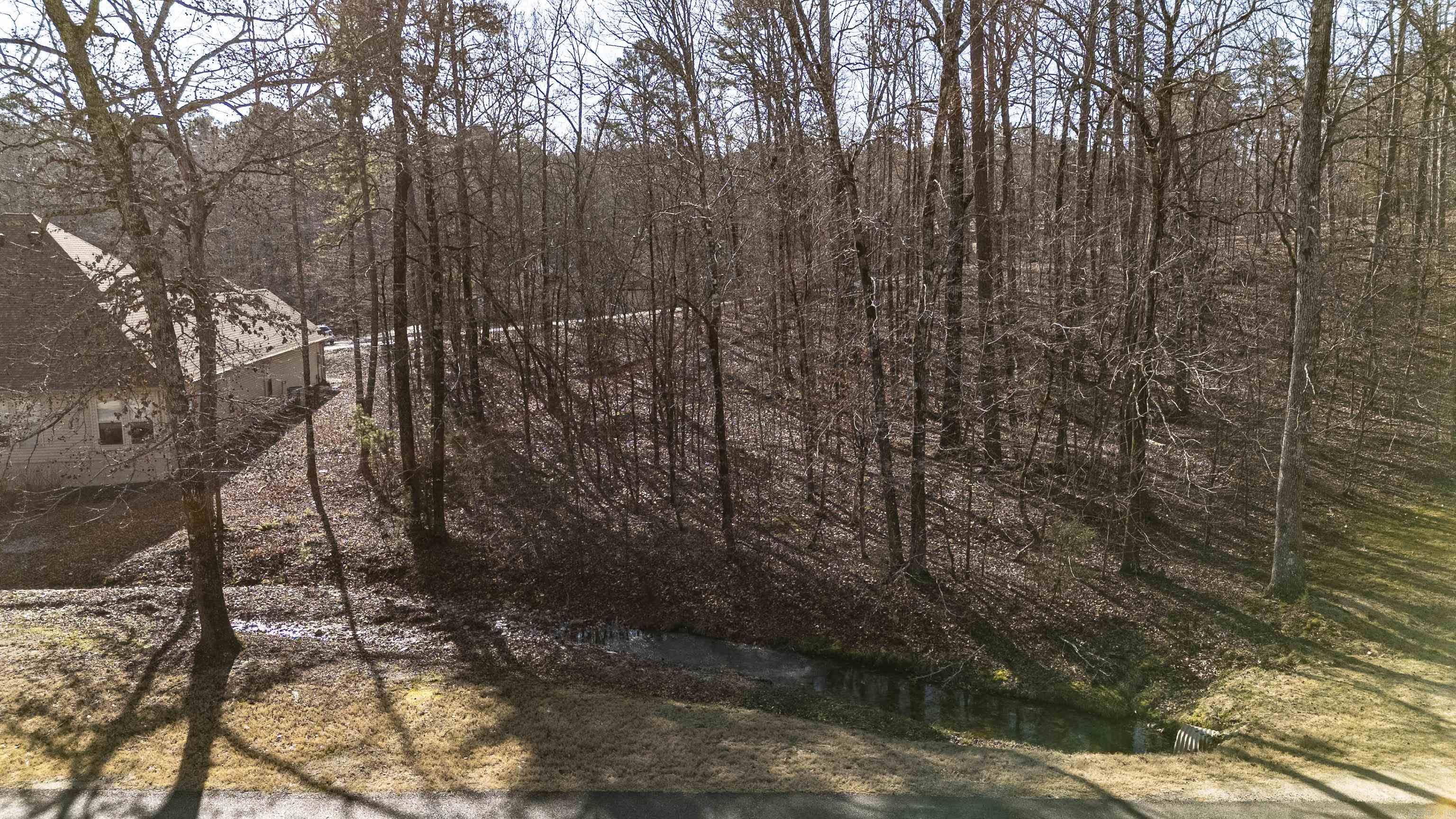 19 Archidona Archidona Lane Lot 19 Hot Springs Village, AR