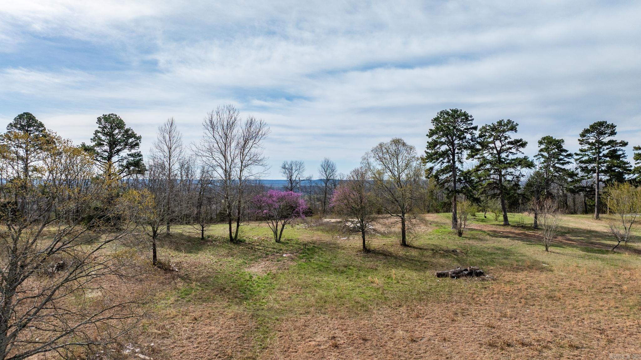 123 Laramie Tract 3  Greenbrier, AR
