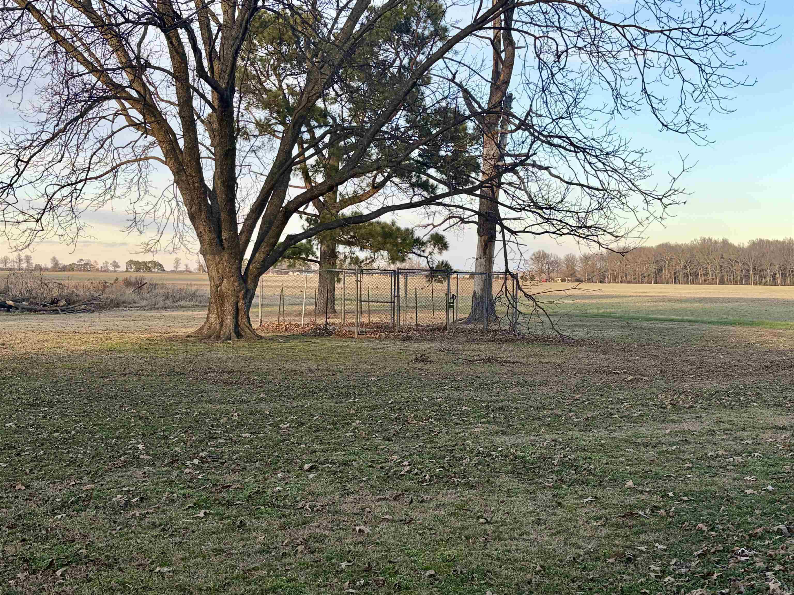 100 CR 1240 Hickory Ridge, AR 72347