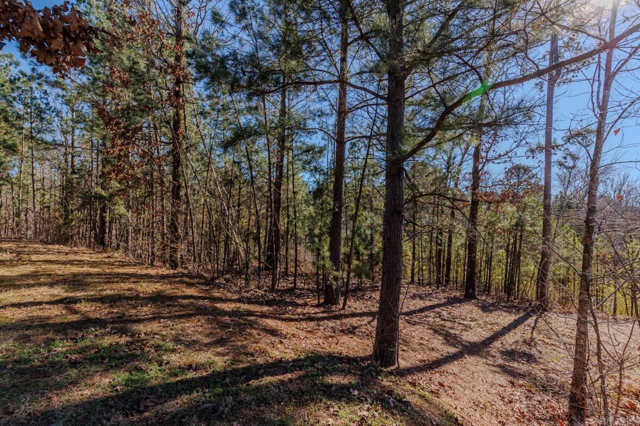 30 Bonita Drive Perryville, AR 72126