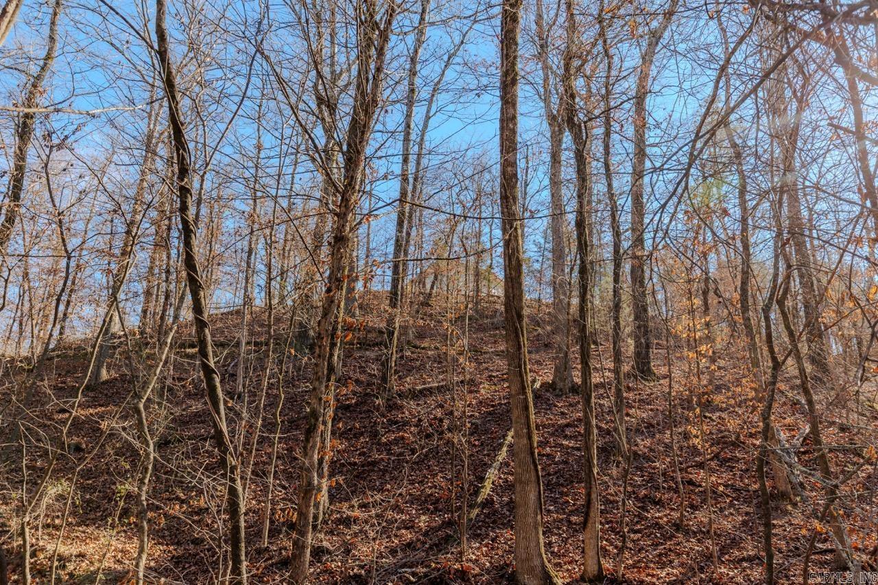 30 Bonita Drive Perryville, AR 72126