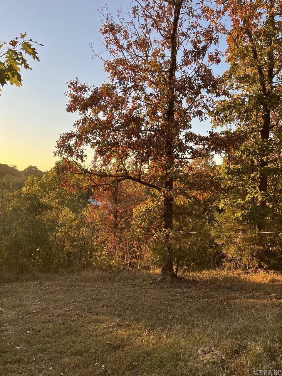 30 Bonita Drive Perryville, AR 72126