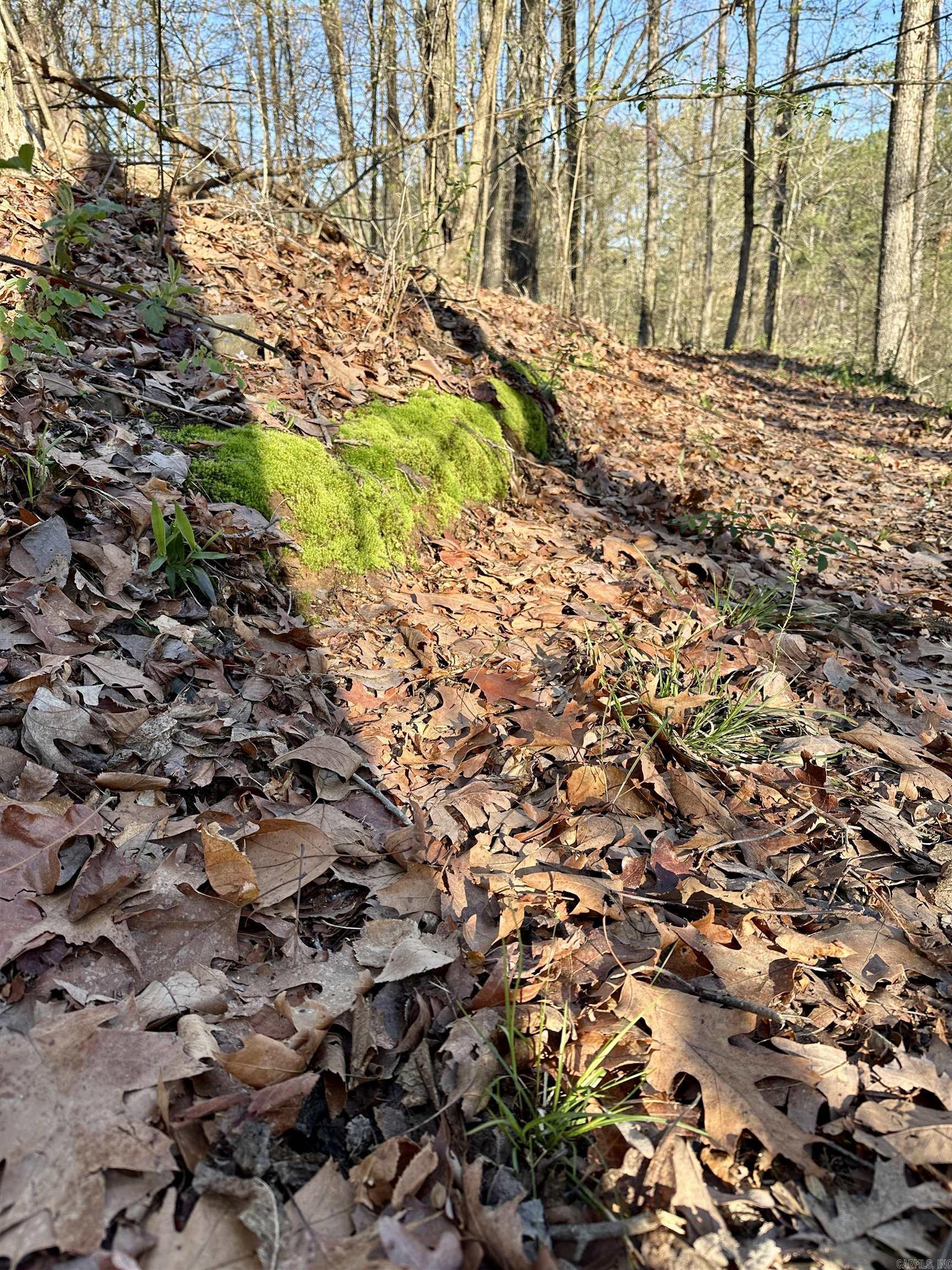 30 Bonita  Perryville, AR