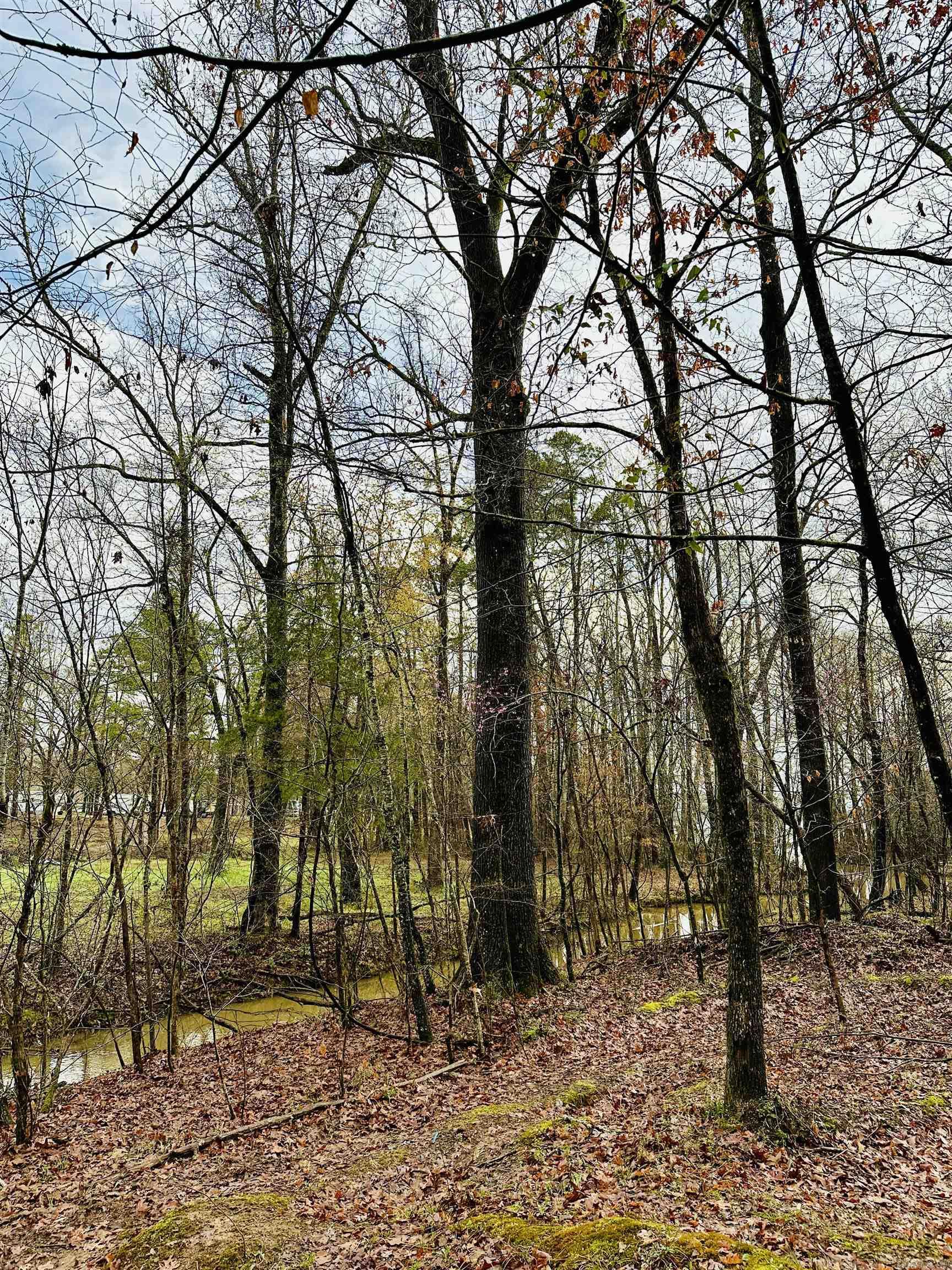 30 Bonita  Perryville, AR