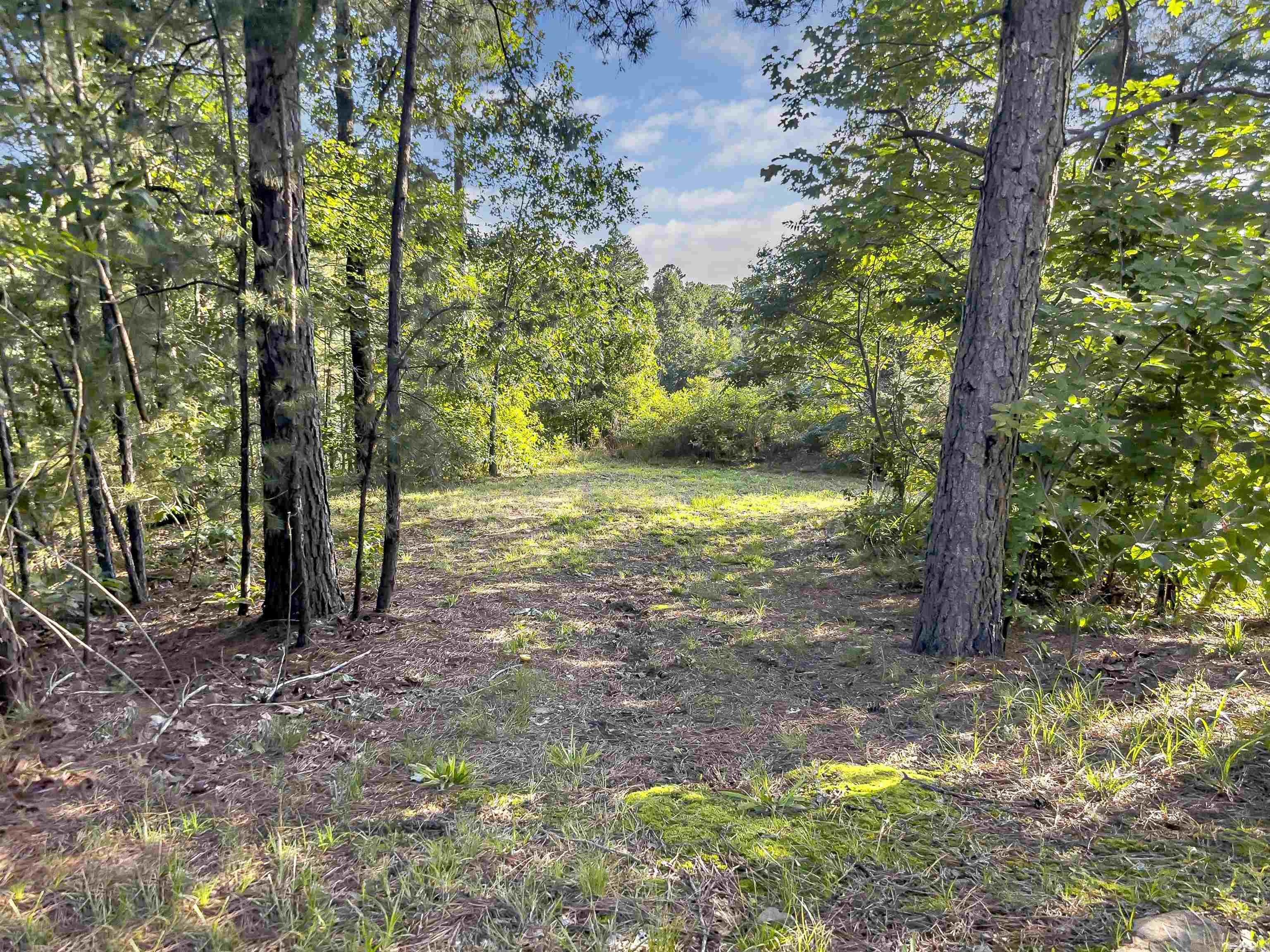 30 Bonita  Perryville, AR