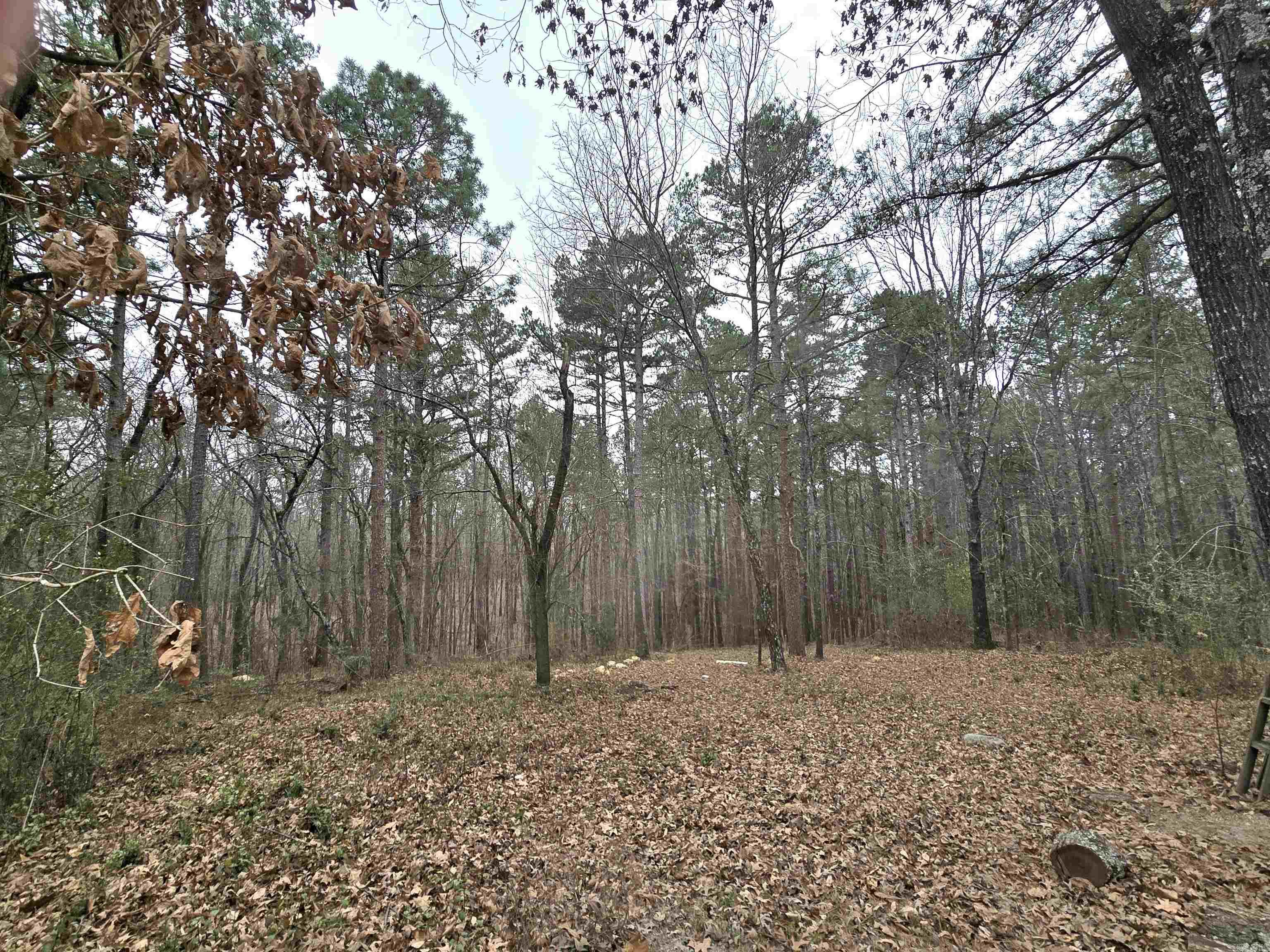 994 Sawmill Road Mountain View, AR 72560