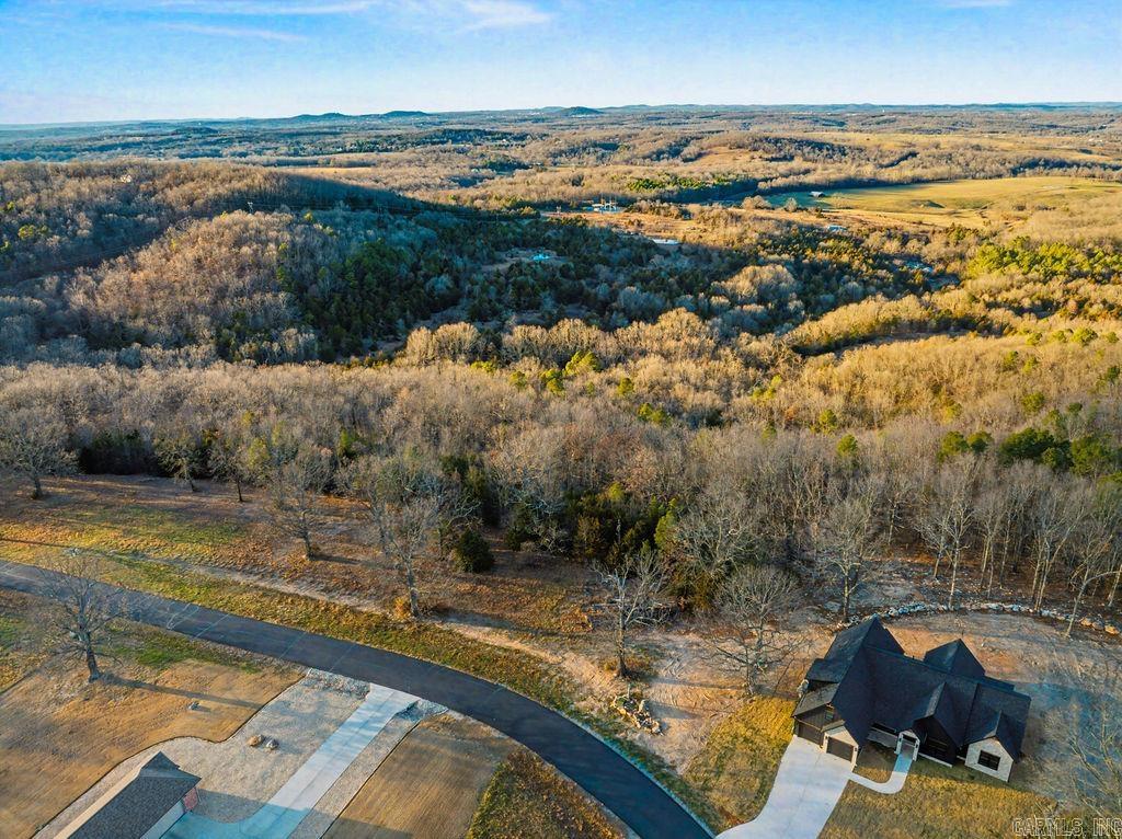 010-11219-014 Denmark Circle  Mountain Home, AR