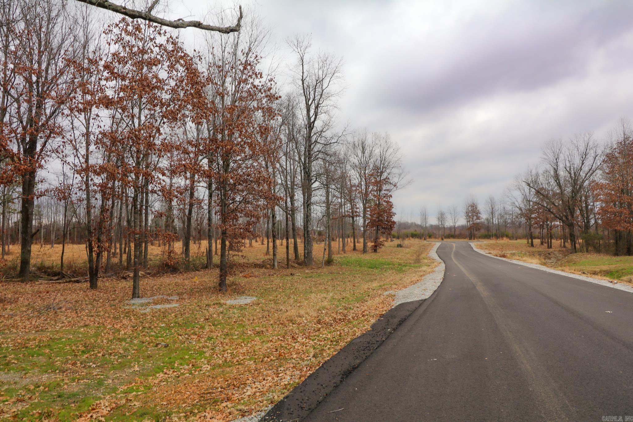 157 CR 4243 Lot 2 Diamond Valley Ph III Jonesboro, AR