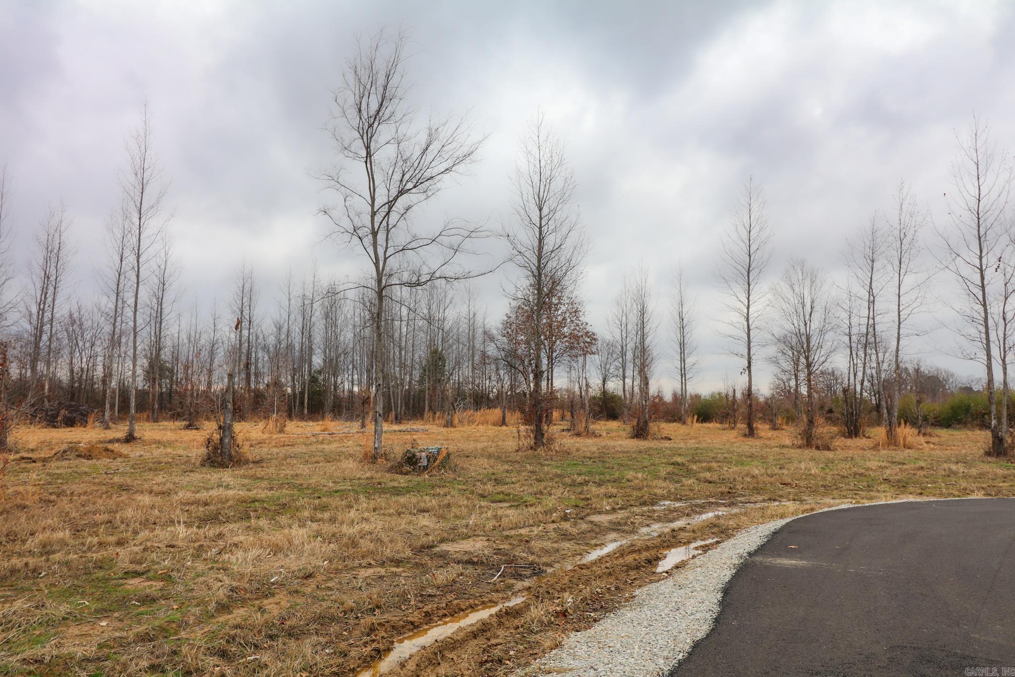 157 CR 4243 Lot 2 Diamond Valley Ph III Jonesboro, AR