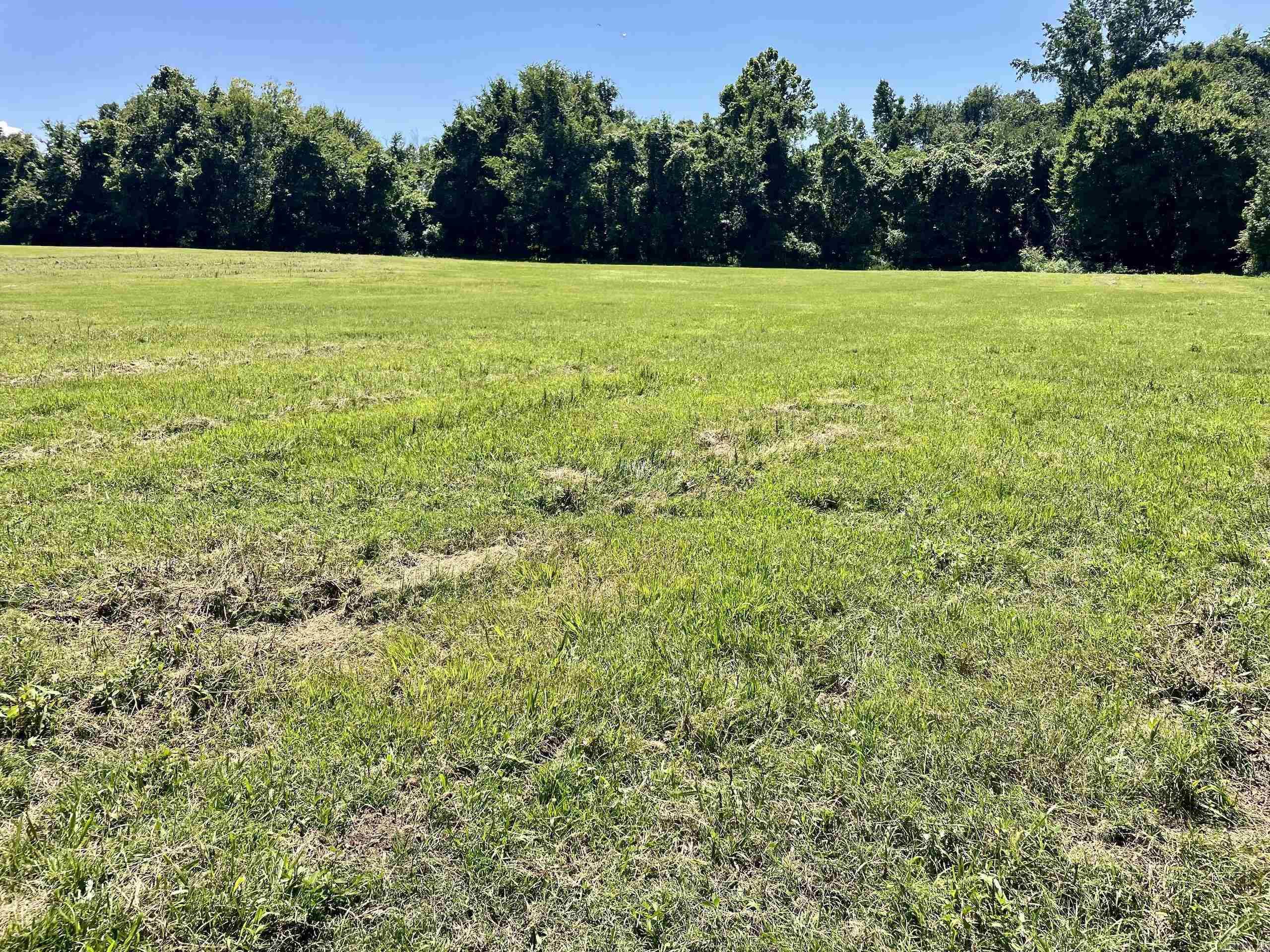 1250 CR 2651  Lamar, AR