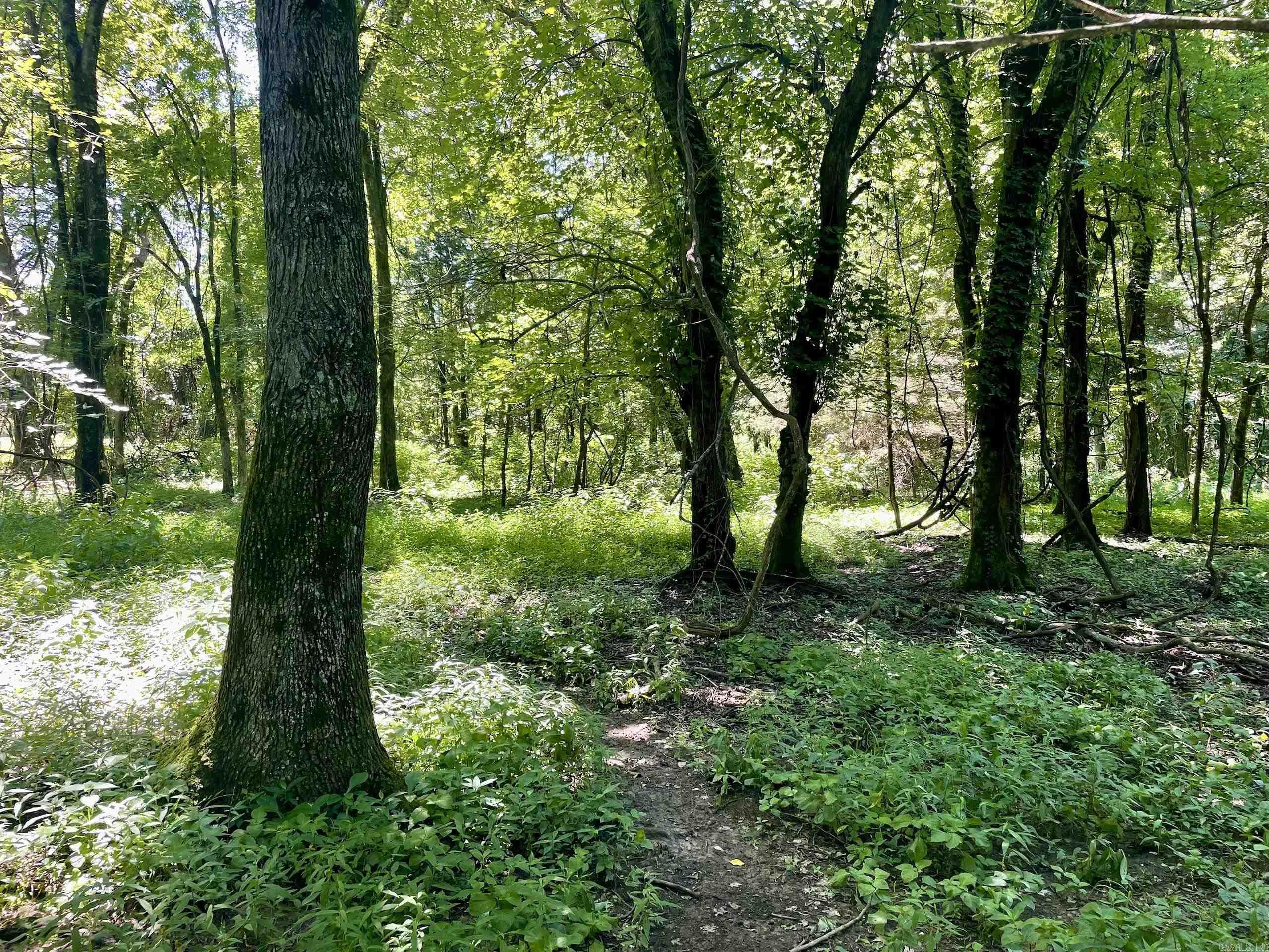 1250 CR 2651  Lamar, AR