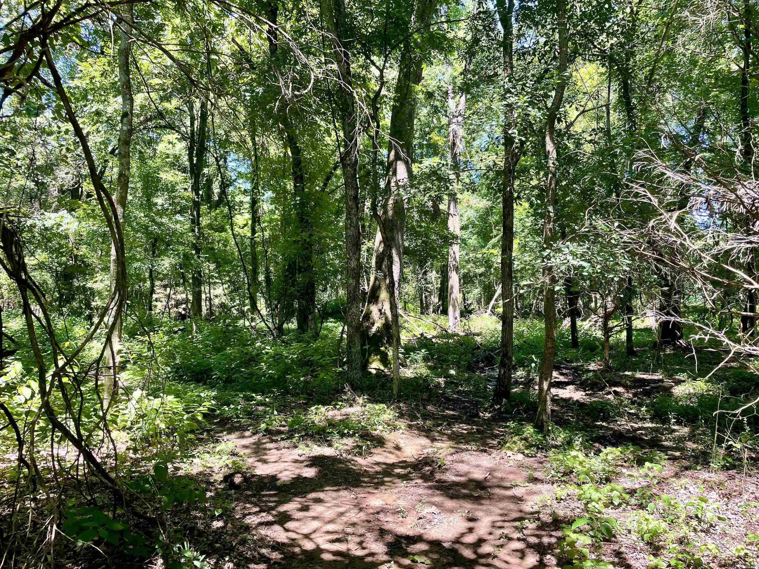 1250 CR 2651  Lamar, AR