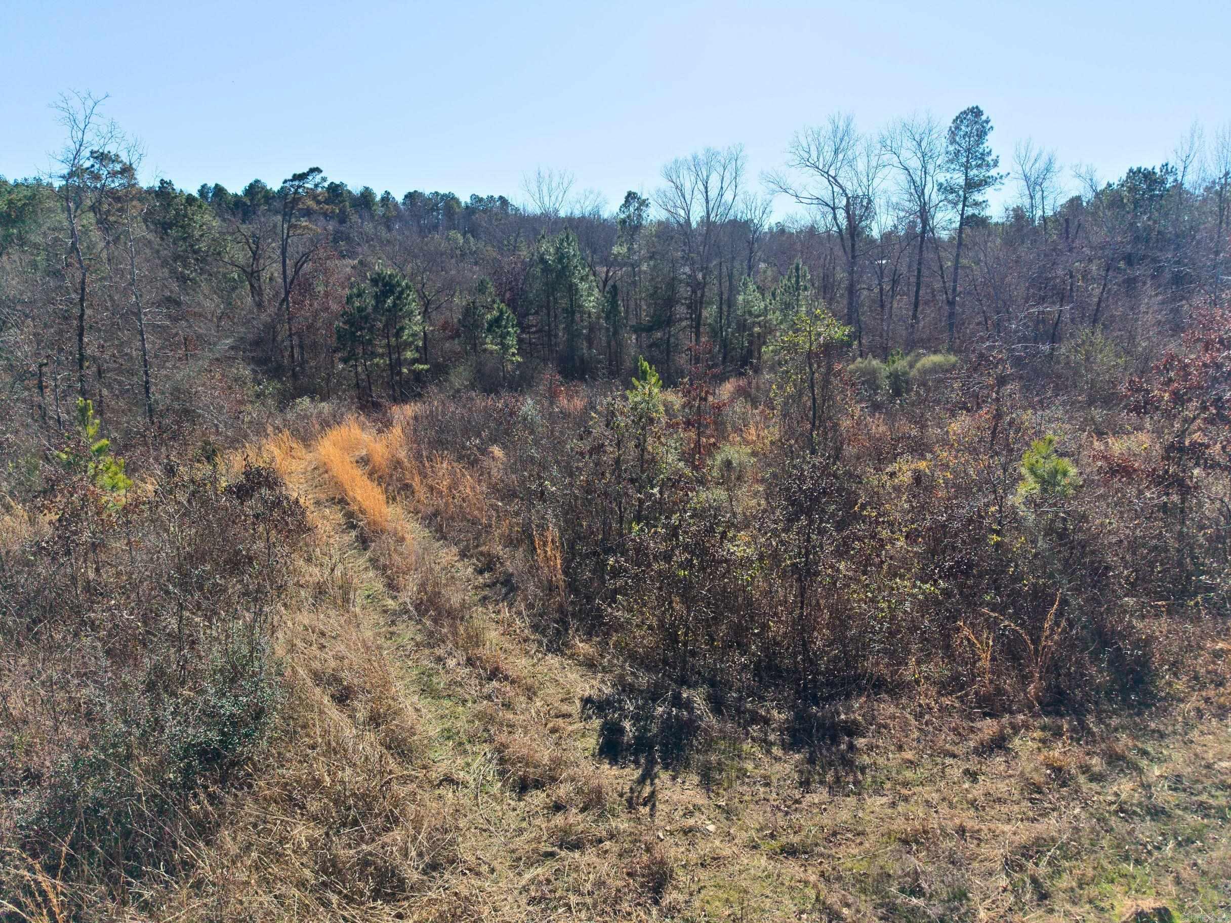 300 Block Angel  Amity, AR