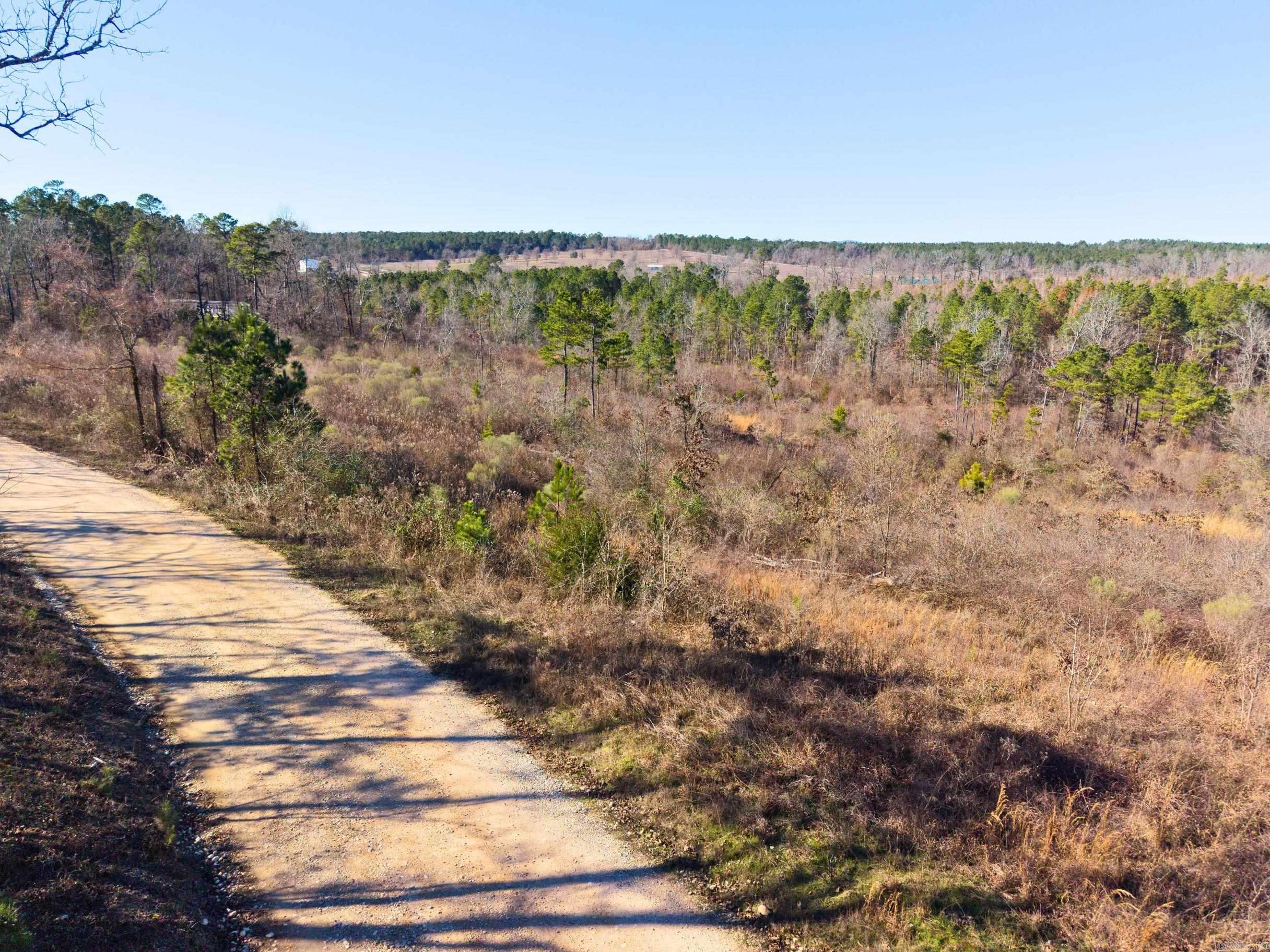 300 Block Angel  Amity, AR