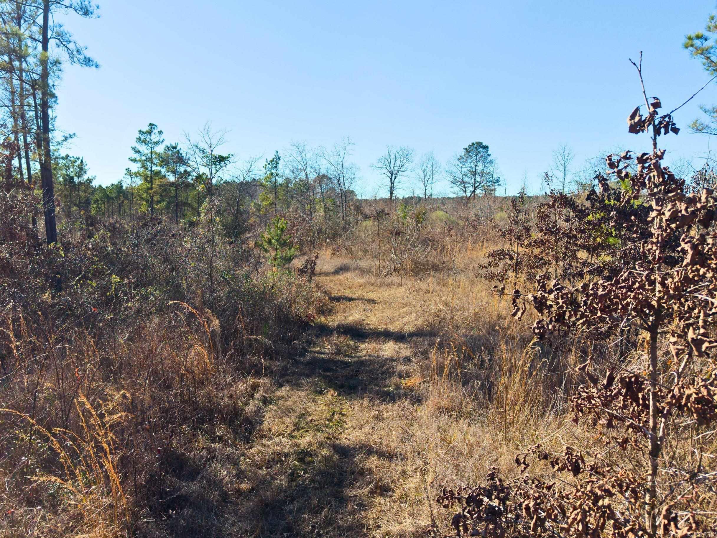 300 Block Angel  Amity, AR