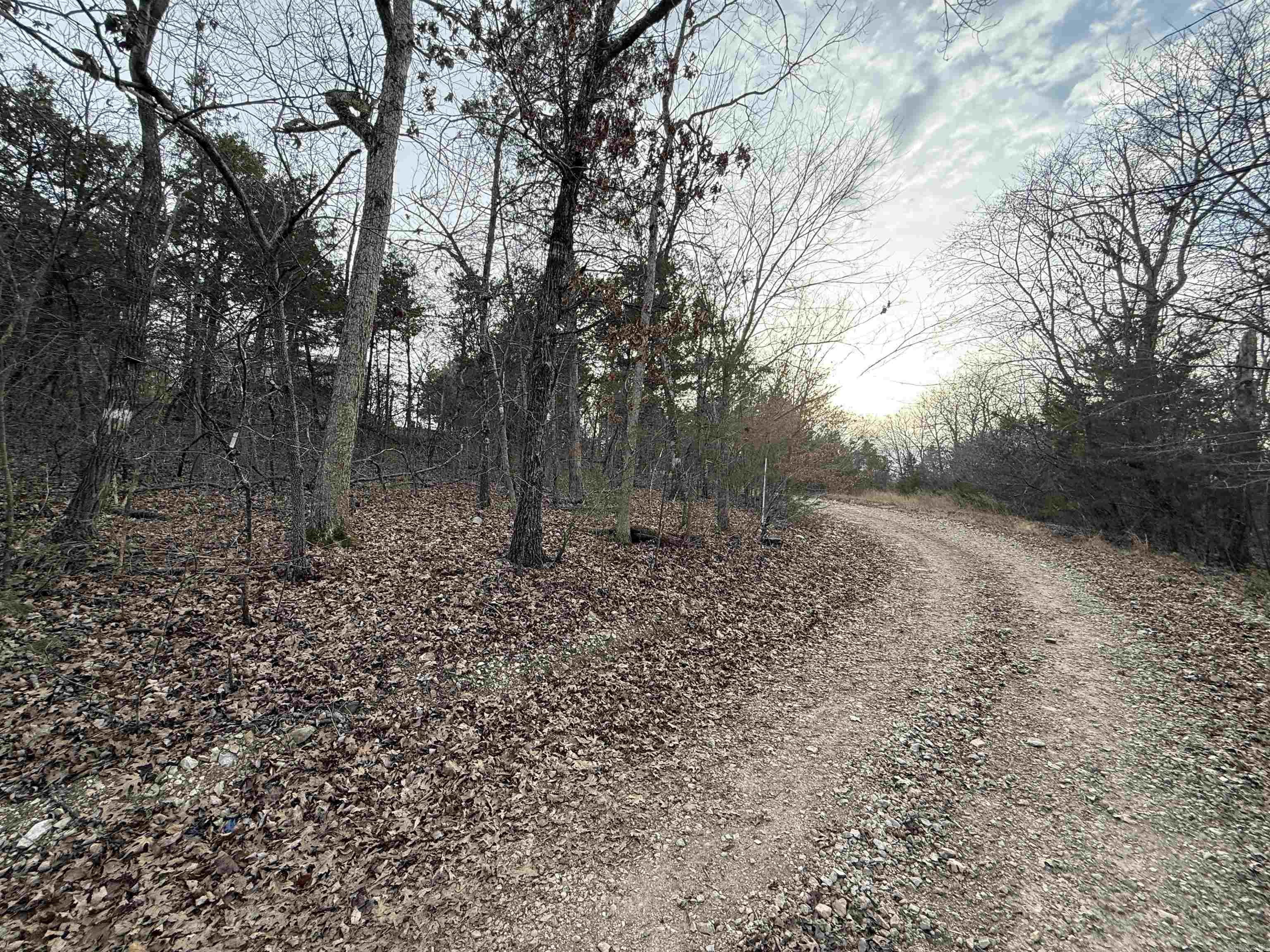 001 Mallard Drive  Diamond City, AR