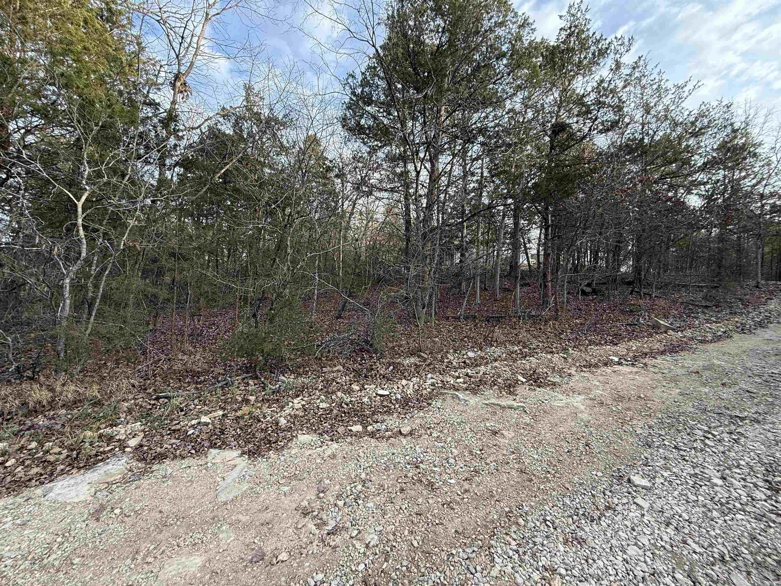 001 Mallard Drive  Diamond City, AR