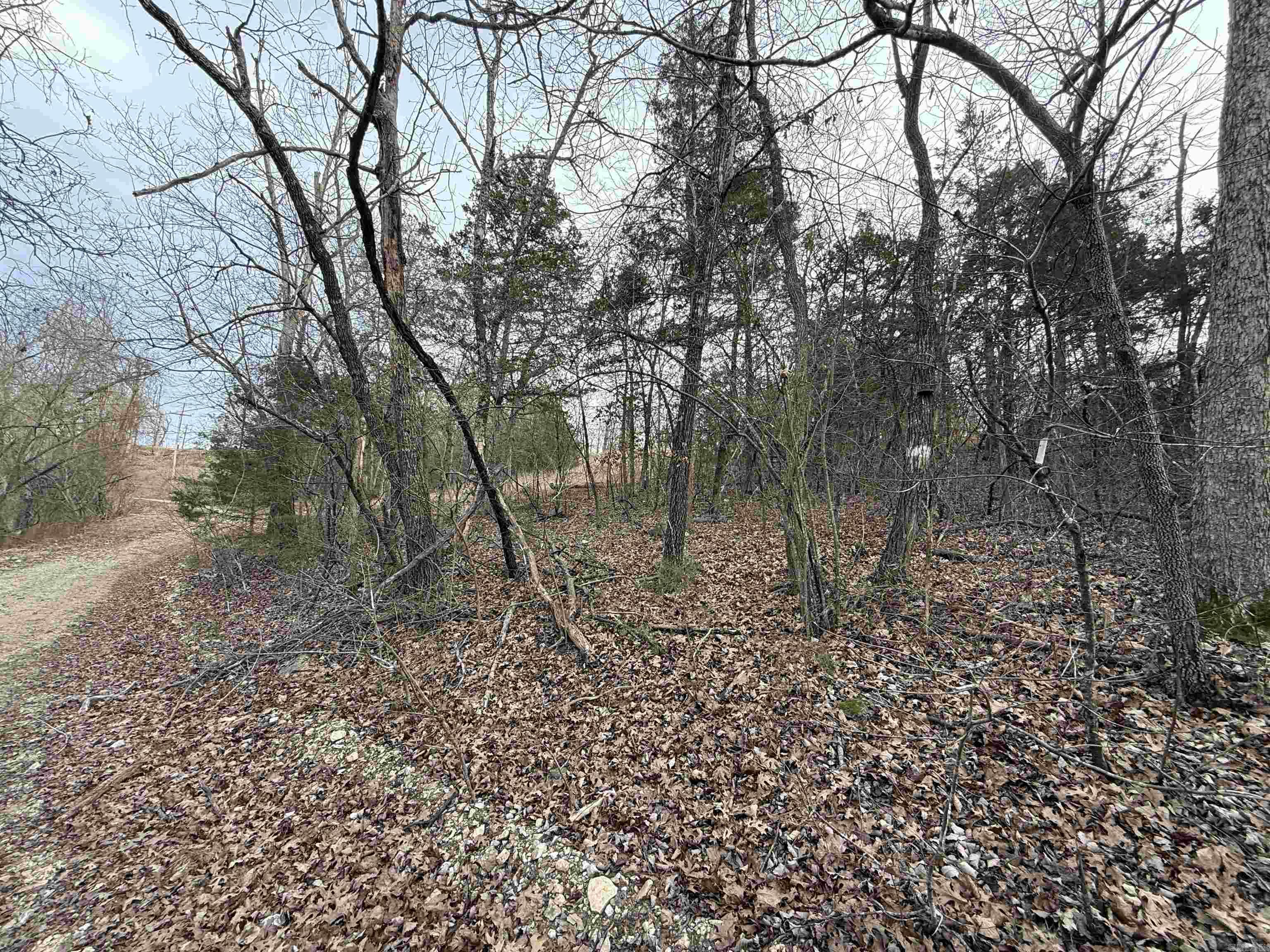 001 Mallard Drive  Diamond City, AR