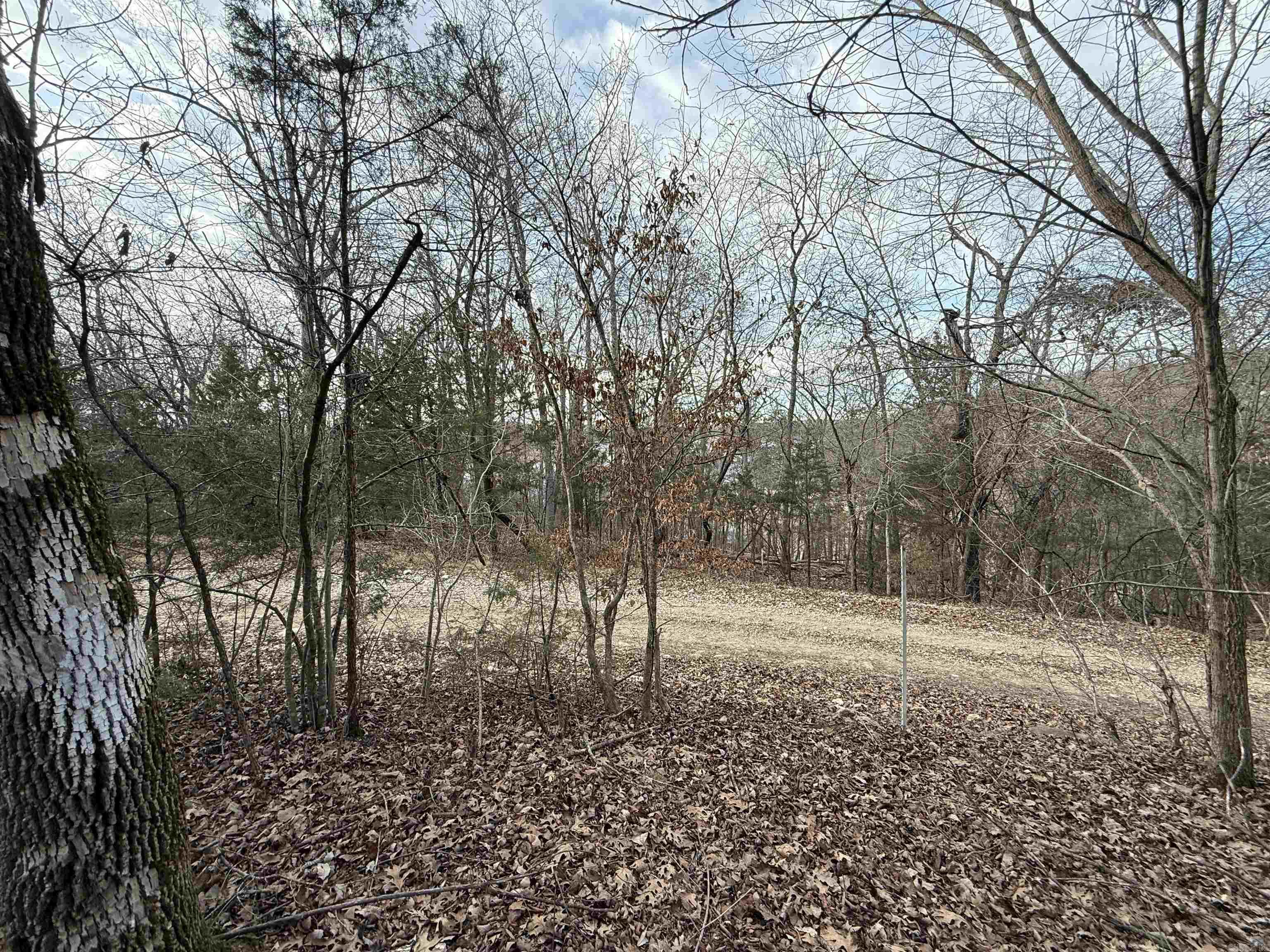 001 Mallard Drive  Diamond City, AR