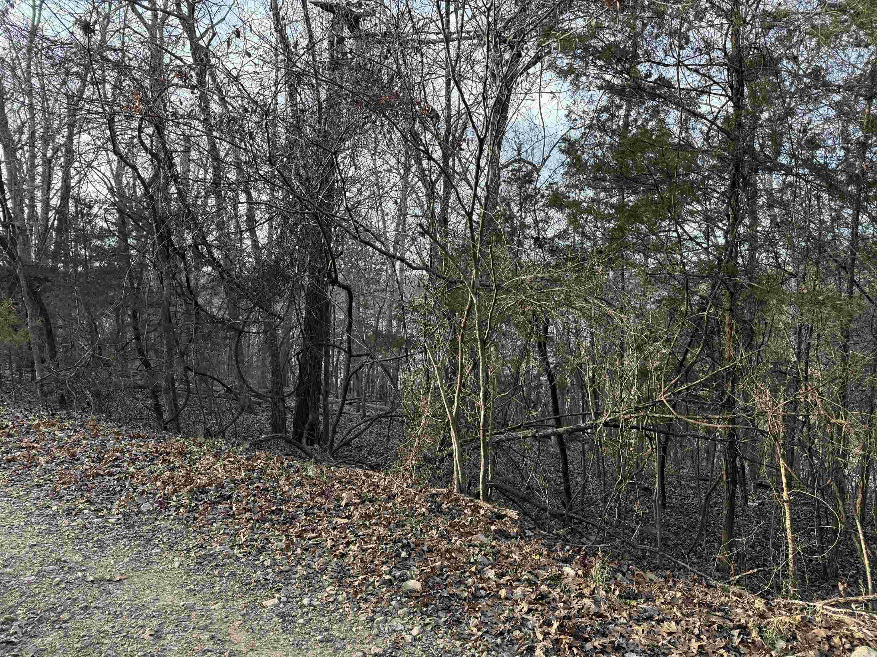 001 Mallard Drive  Diamond City, AR