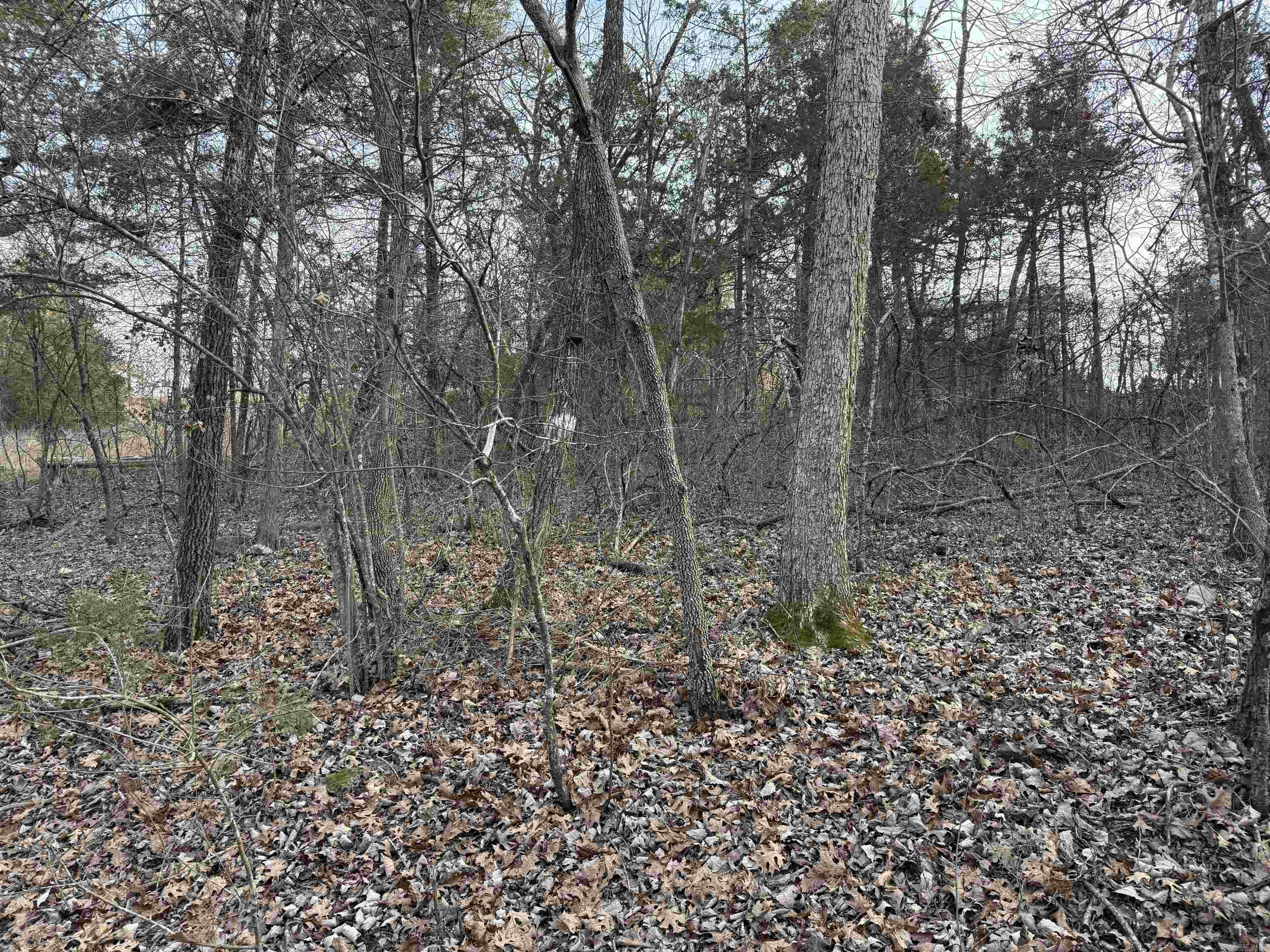 001 Mallard Drive  Diamond City, AR