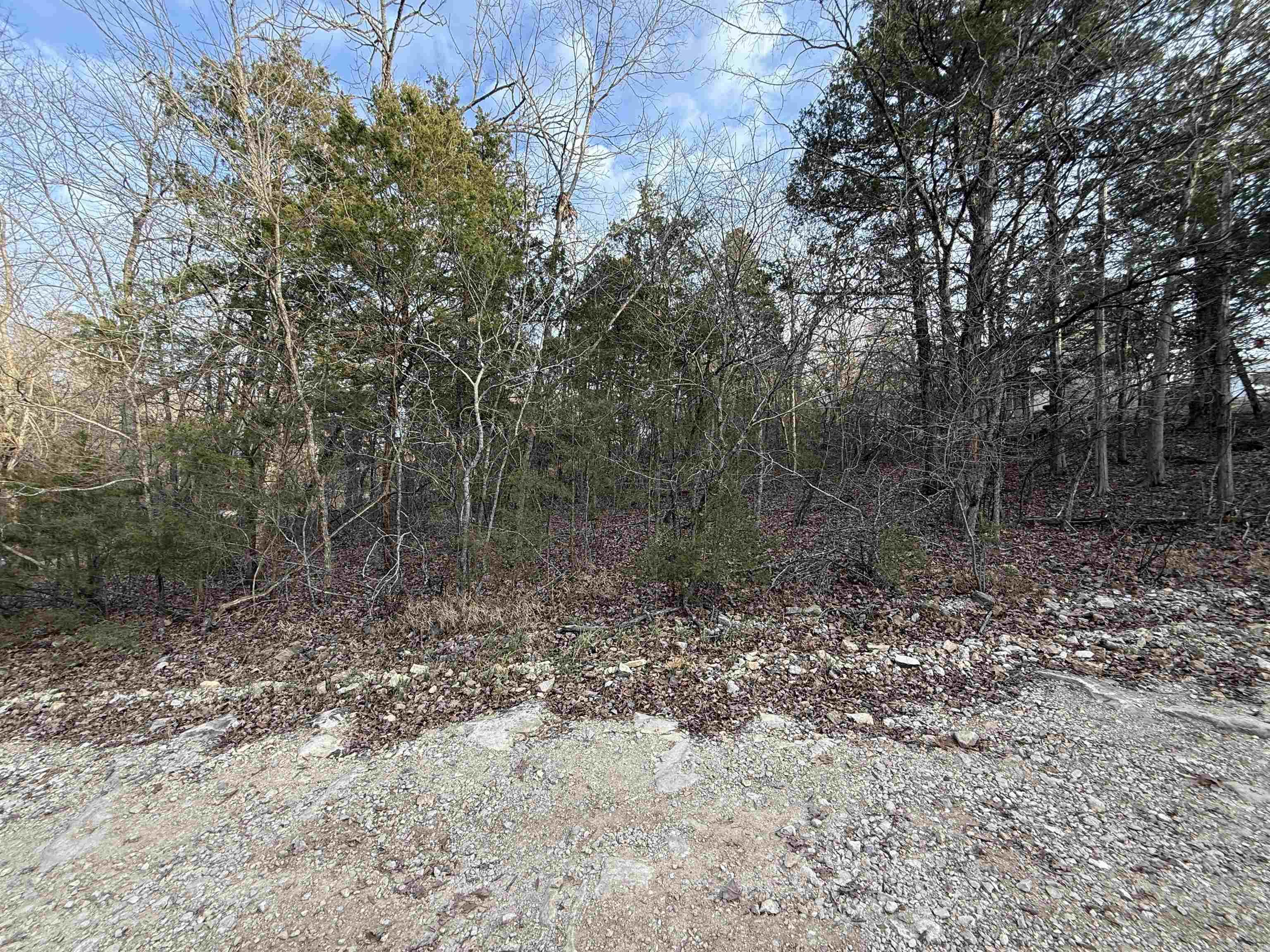 001 Mallard Drive  Diamond City, AR