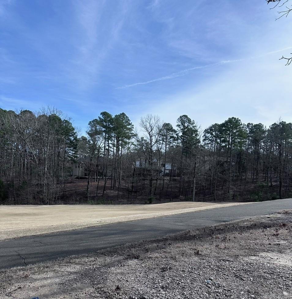 44 Baltanas Way  Hot Springs Village, AR