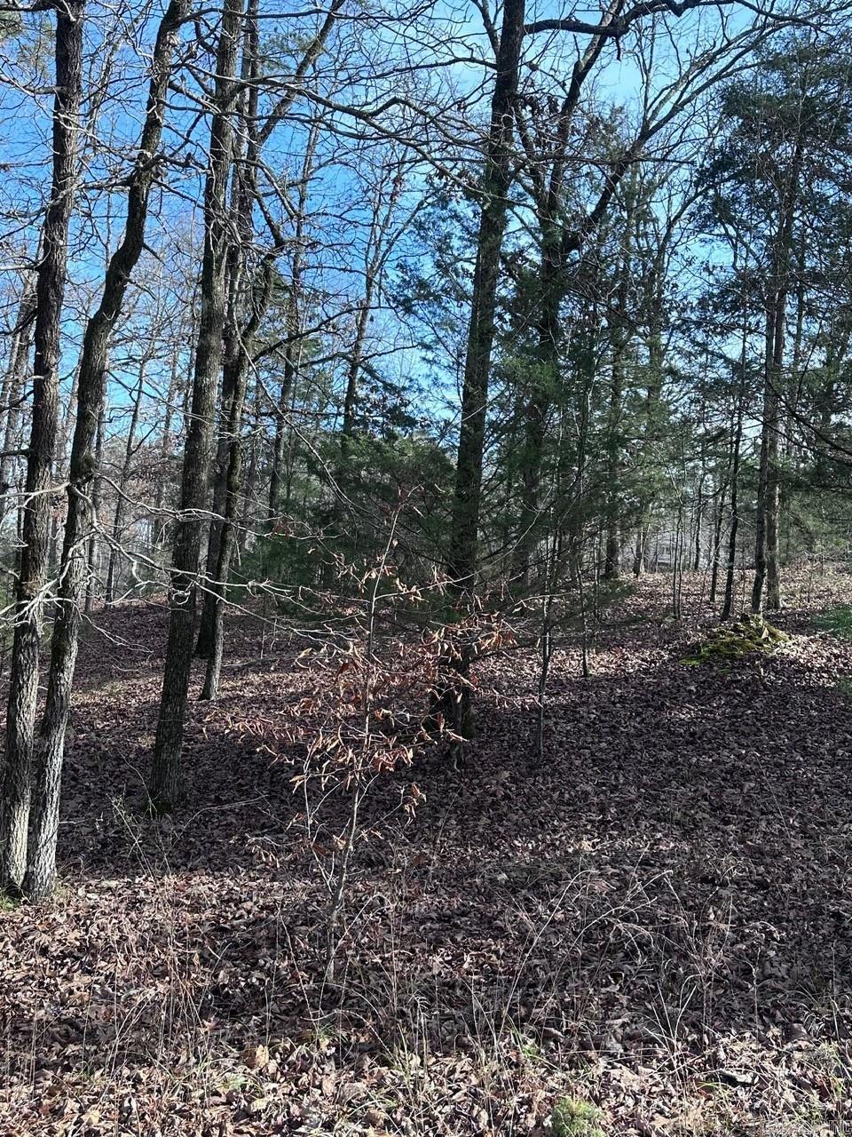 44 Baltanas Way  Hot Springs Village, AR