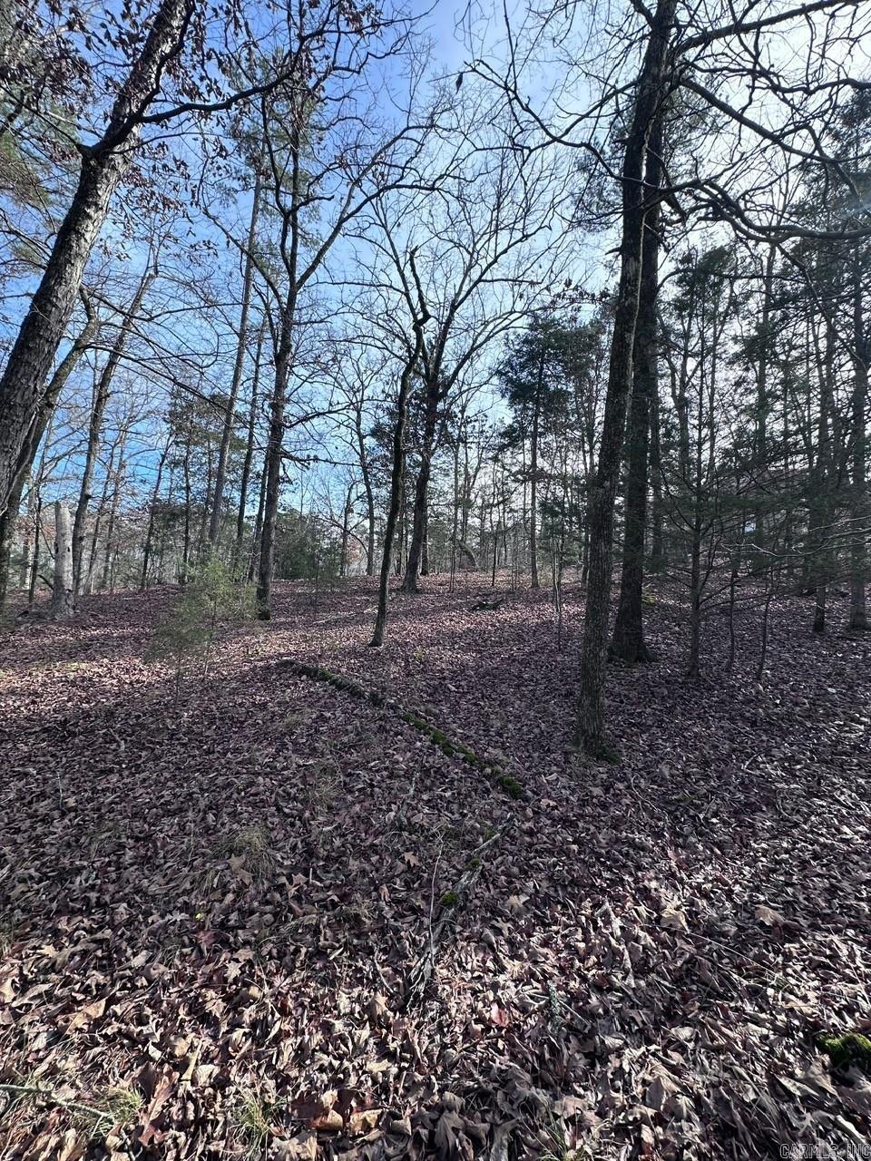 44 Baltanas Way  Hot Springs Village, AR