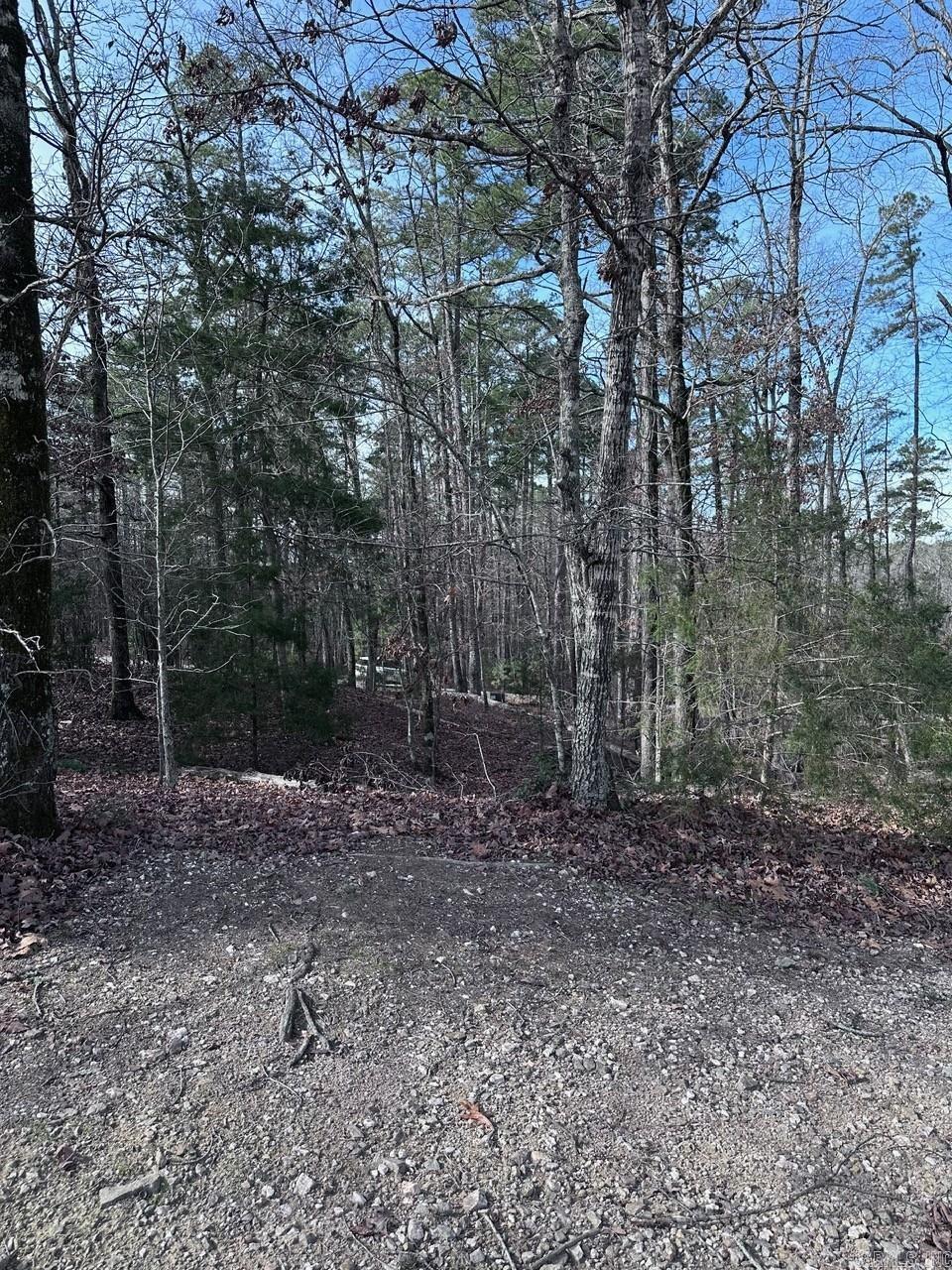 44 Baltanas Way  Hot Springs Village, AR