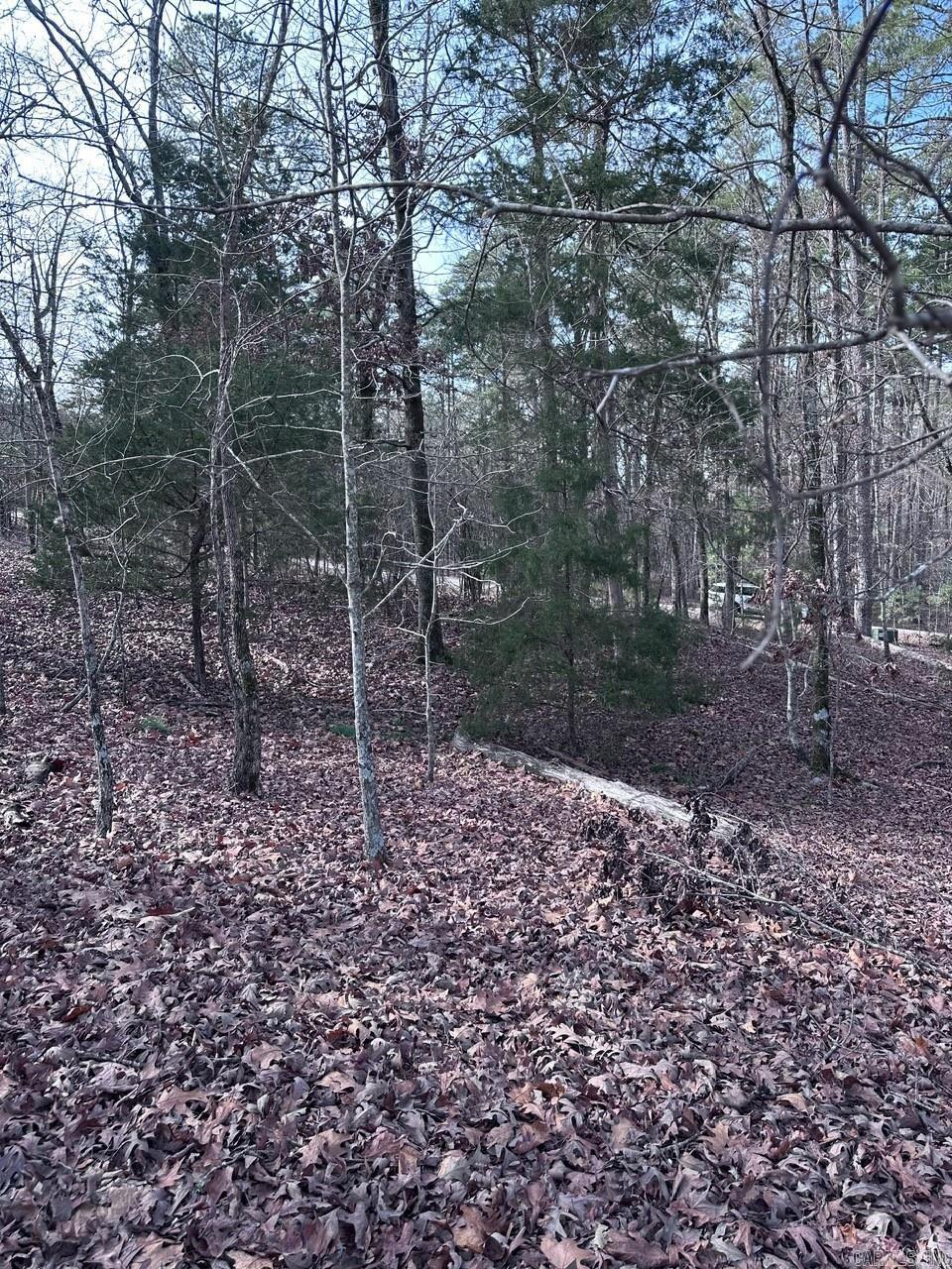 44 Baltanas Way  Hot Springs Village, AR