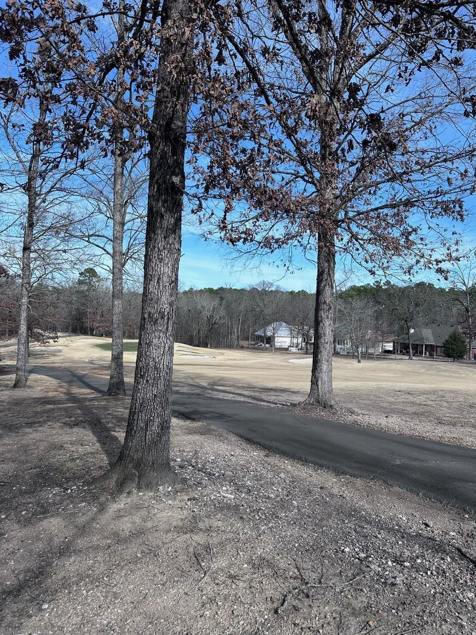 44 Baltanas Way  Hot Springs Village, AR