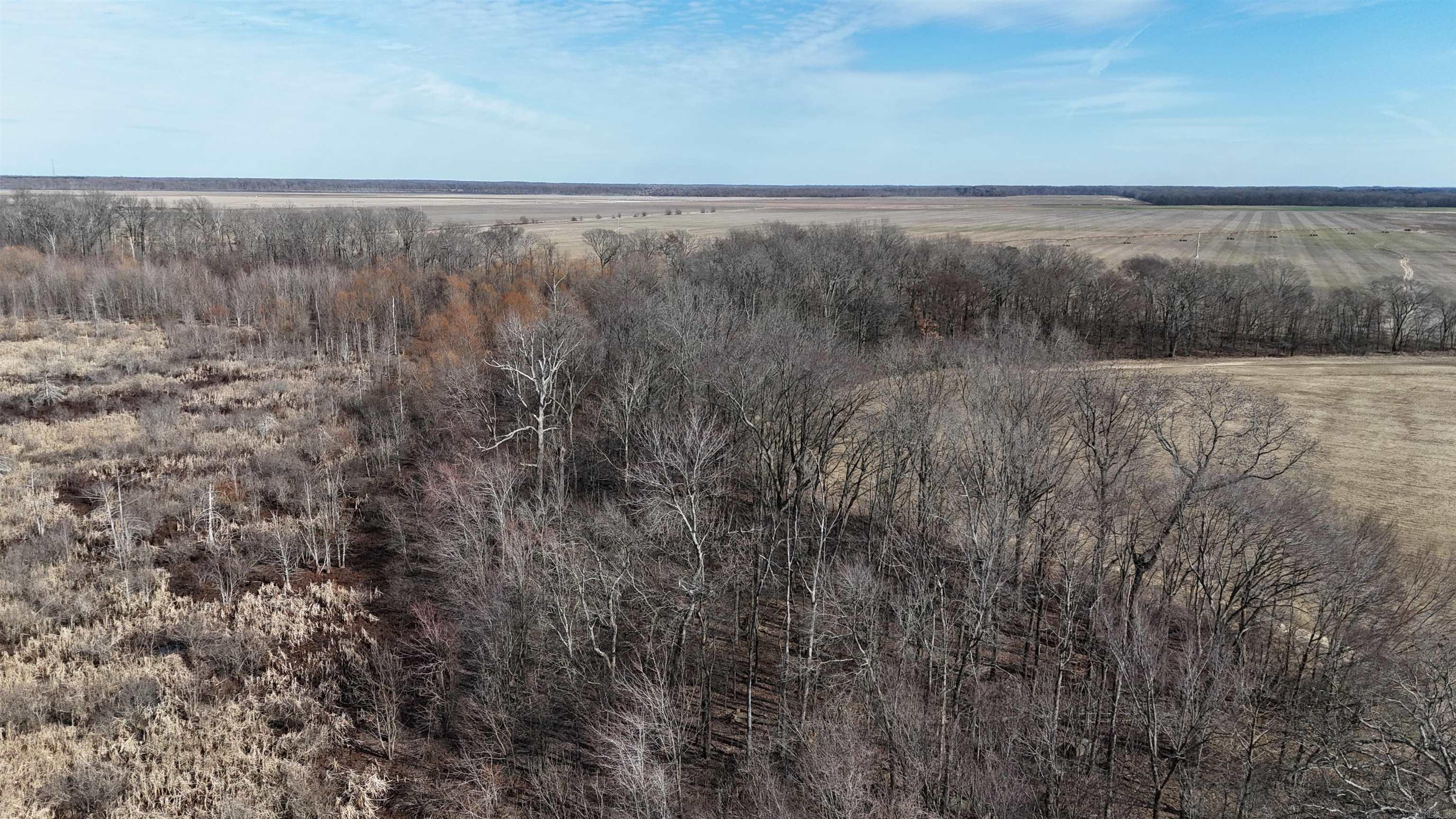 2559 McKoy Ln  Clarendon, AR